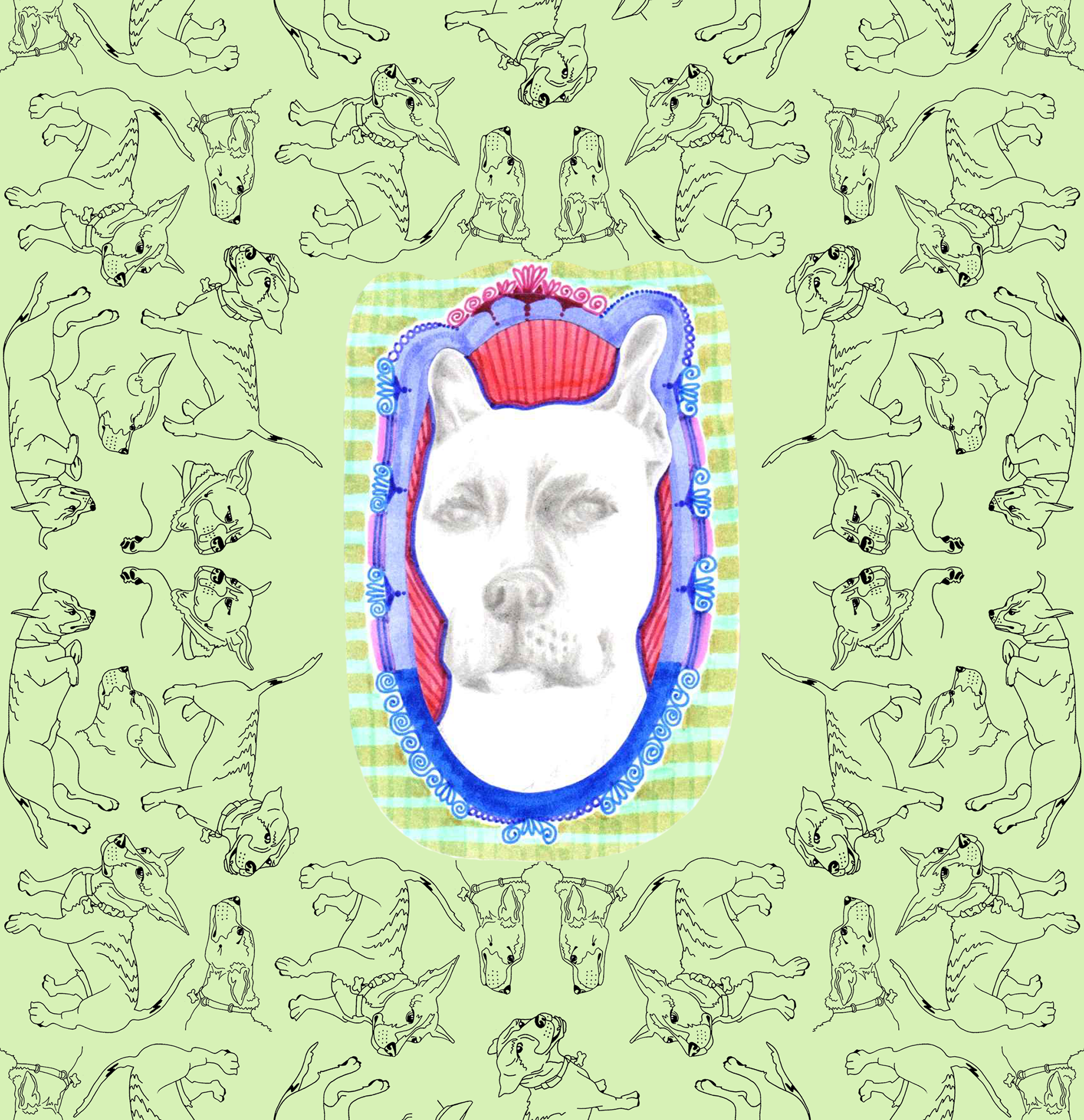 Forever Grateful for Frankie