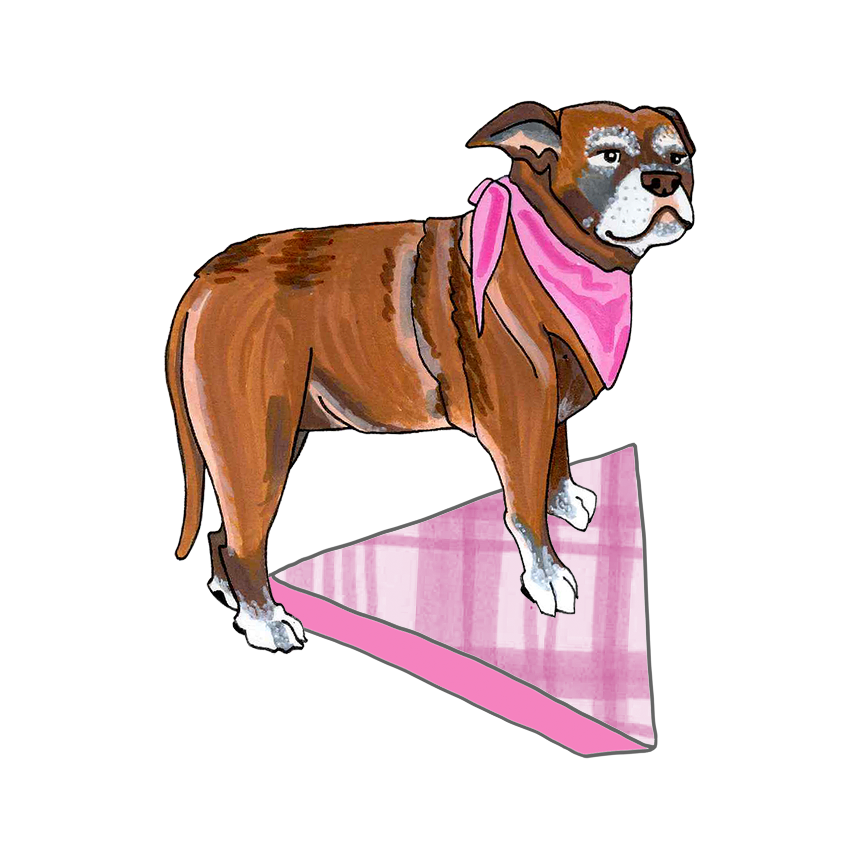 Calypso stands atop a pink plaid triangle.