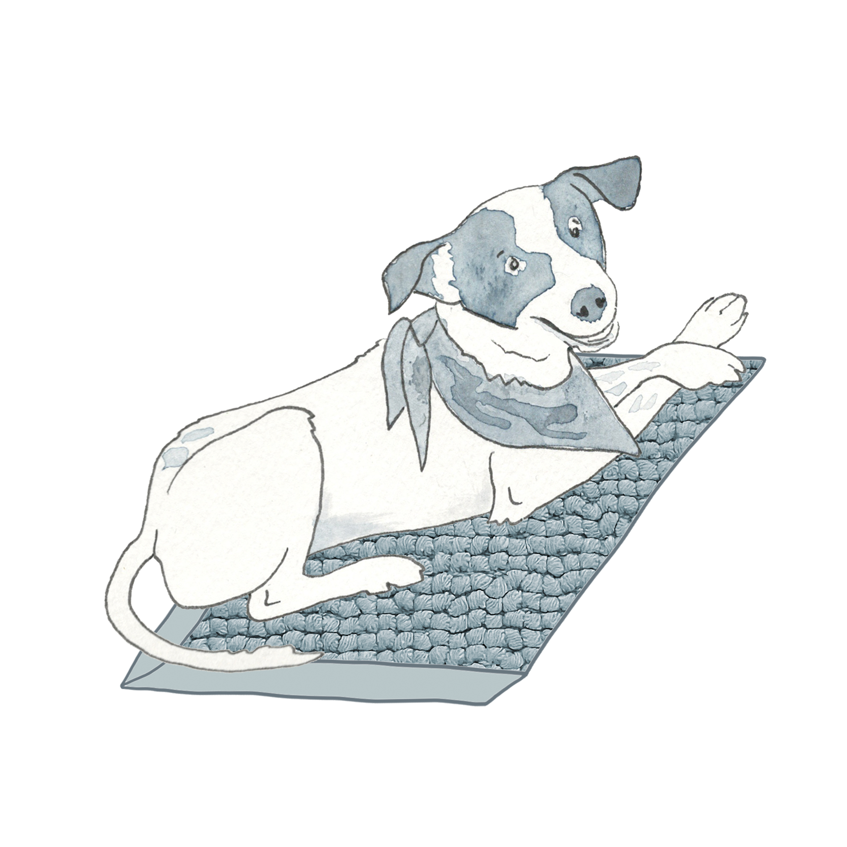 Milo lounges on a knotted gray diamond.