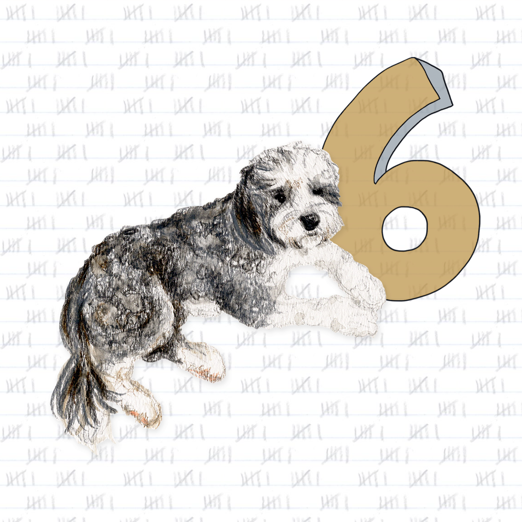 Roger settles on six.