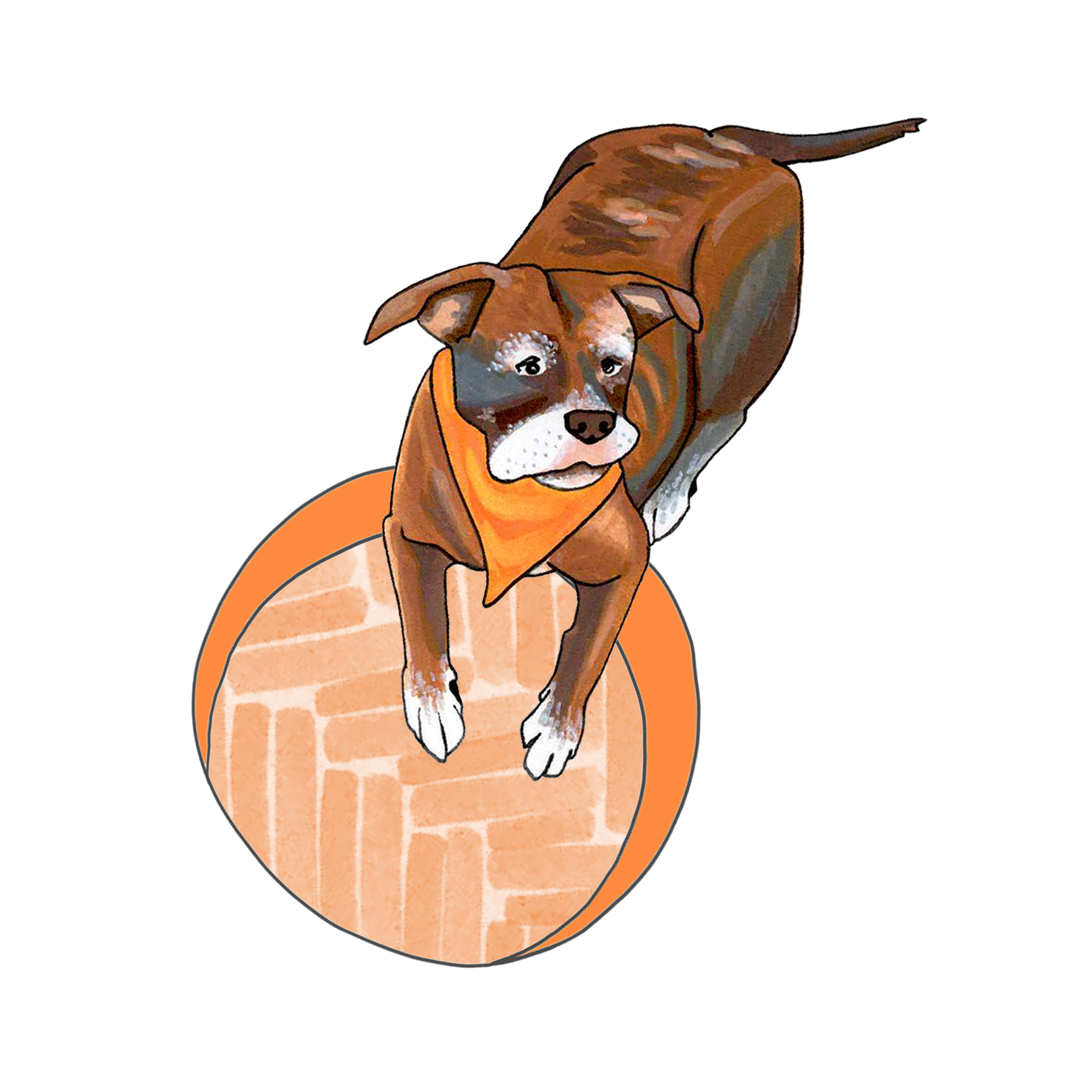 Calypso pounces on an orange herringbone circle.