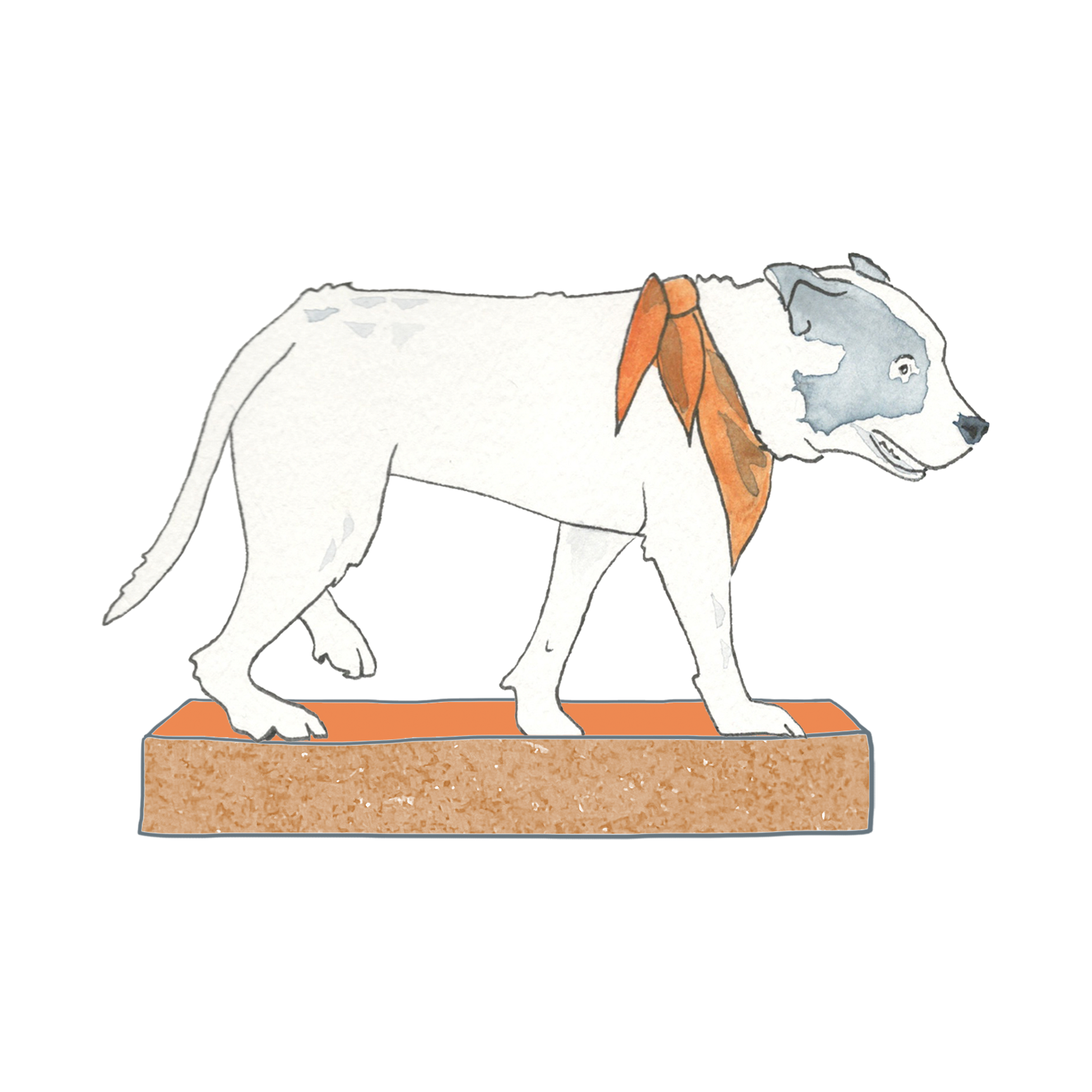 Milo balances on a speckled orange rectangle.