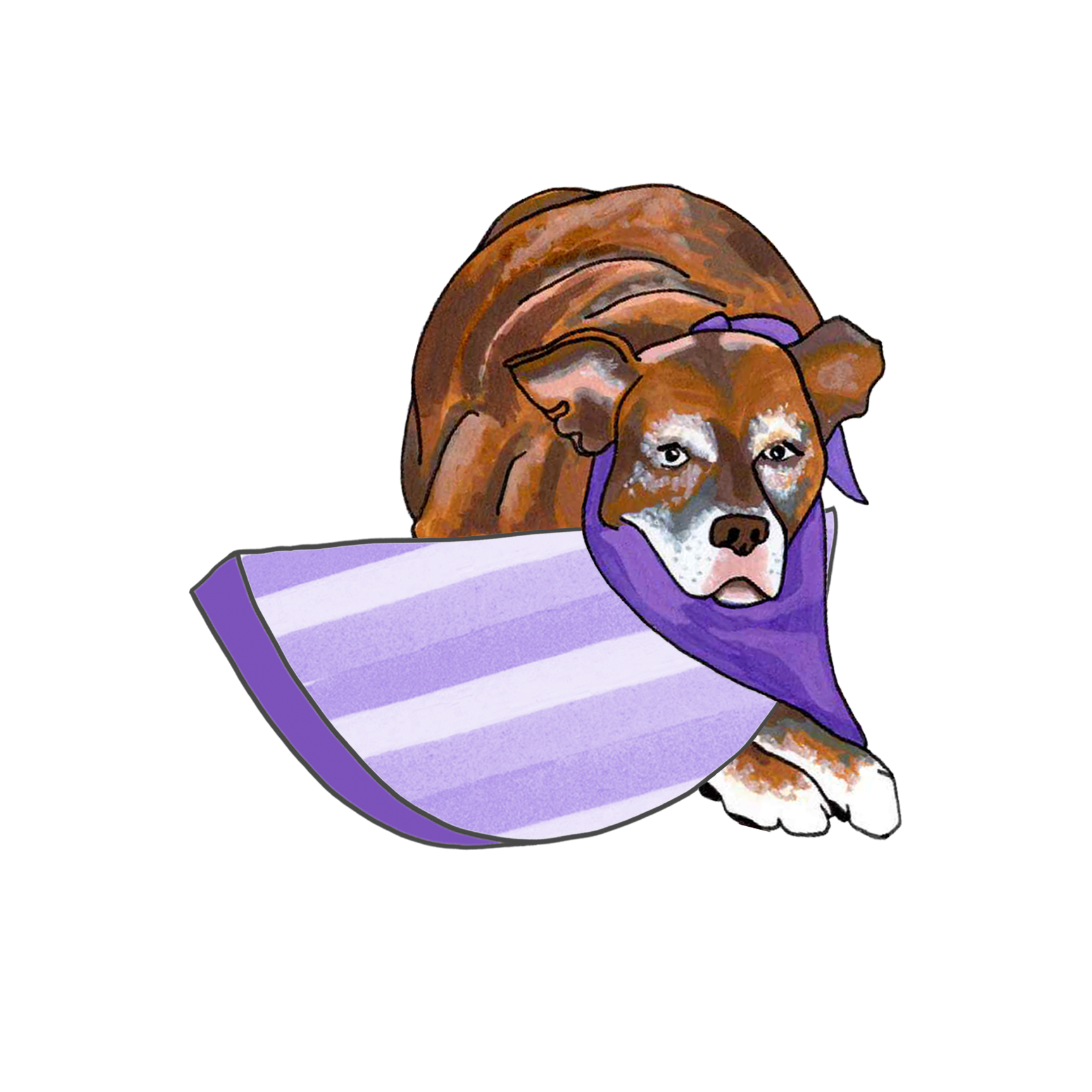 Calypso snuggles with a purple striped semicircle.