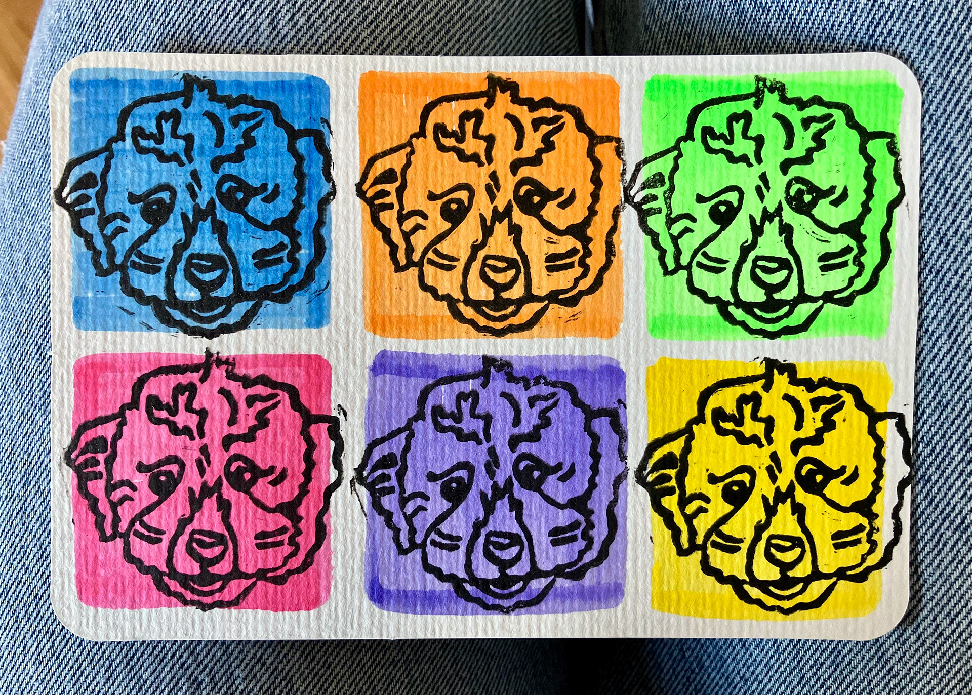 Echo the Poodle Puppy