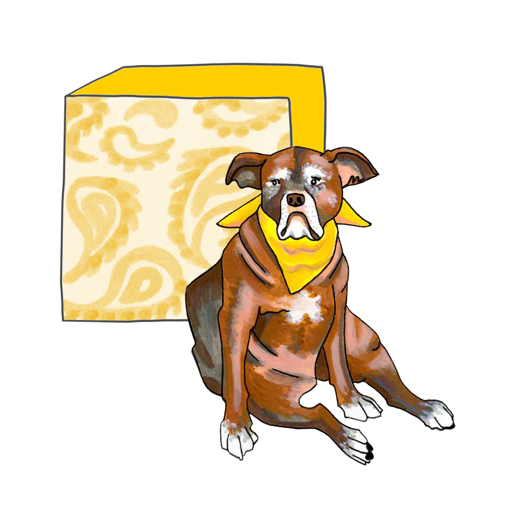 Calypso slouches by a yellow paisley square.