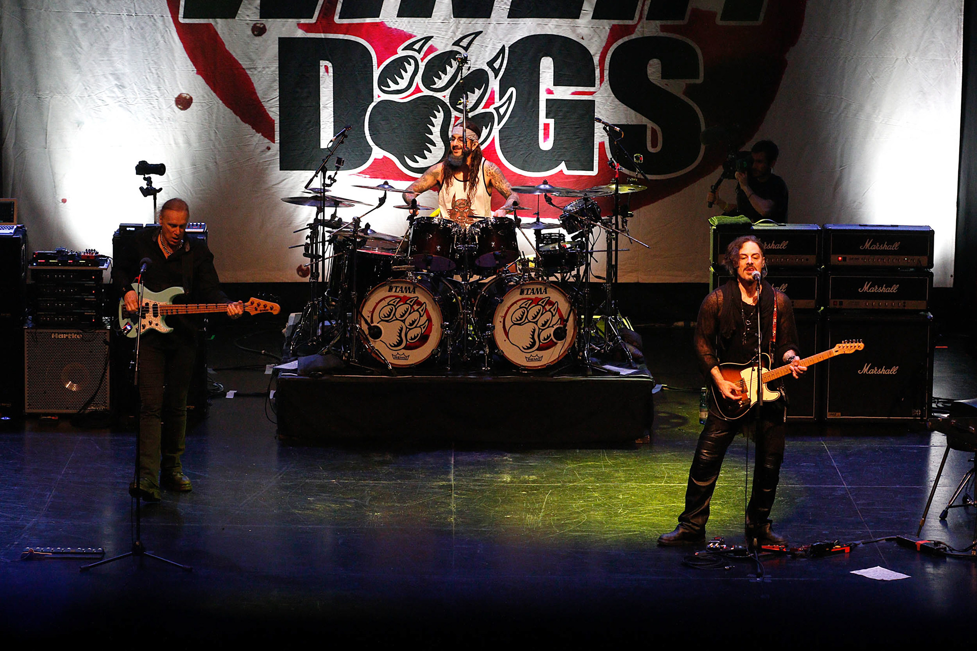 Winery Dogs