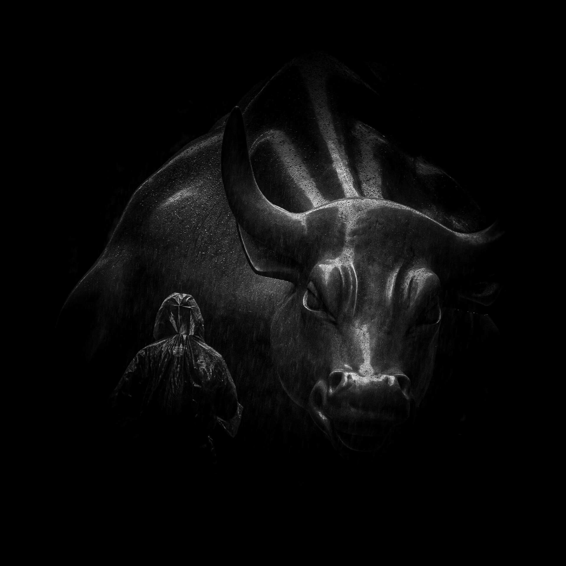 Charging Bull, Wall Street, New York
