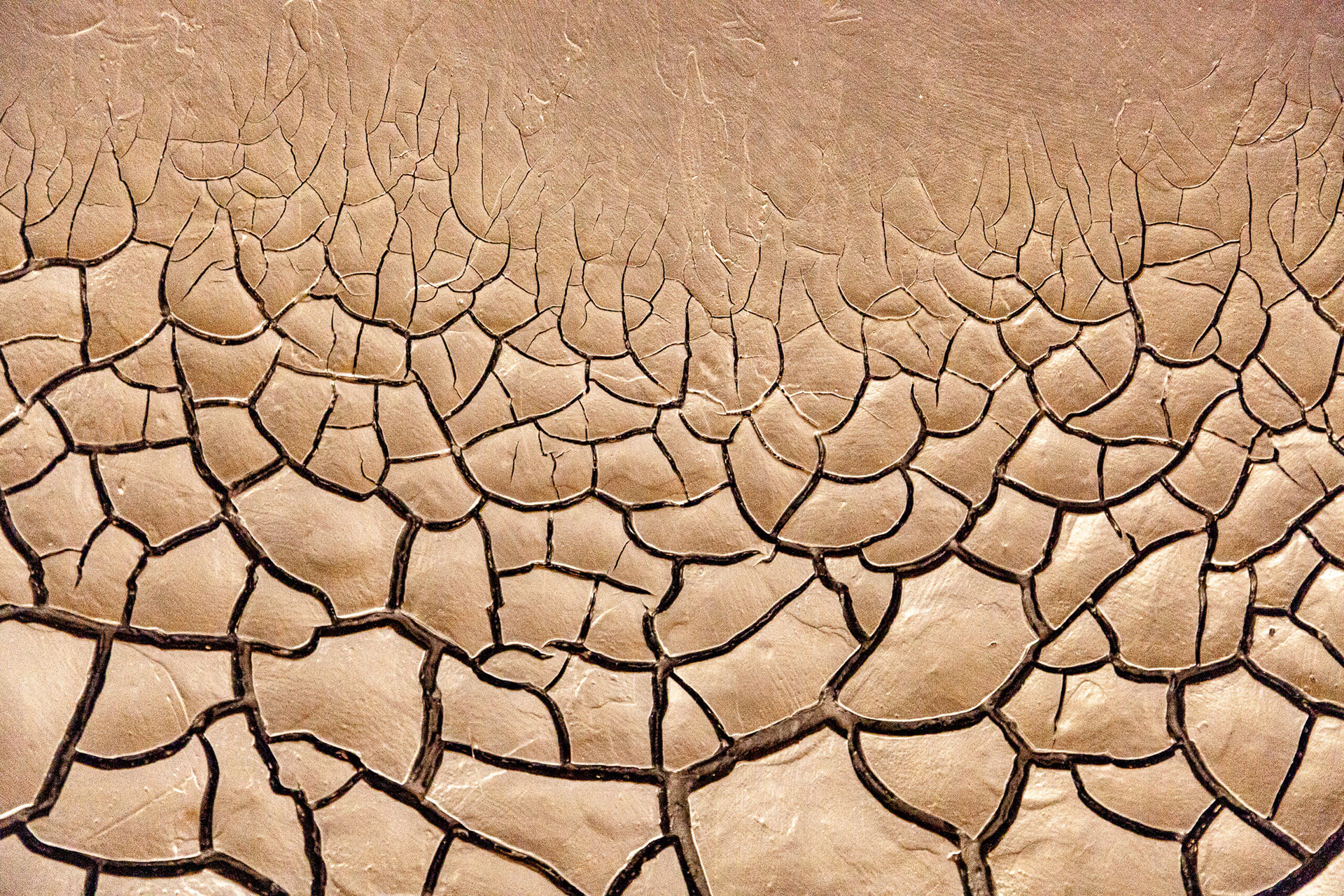 Cracked mud