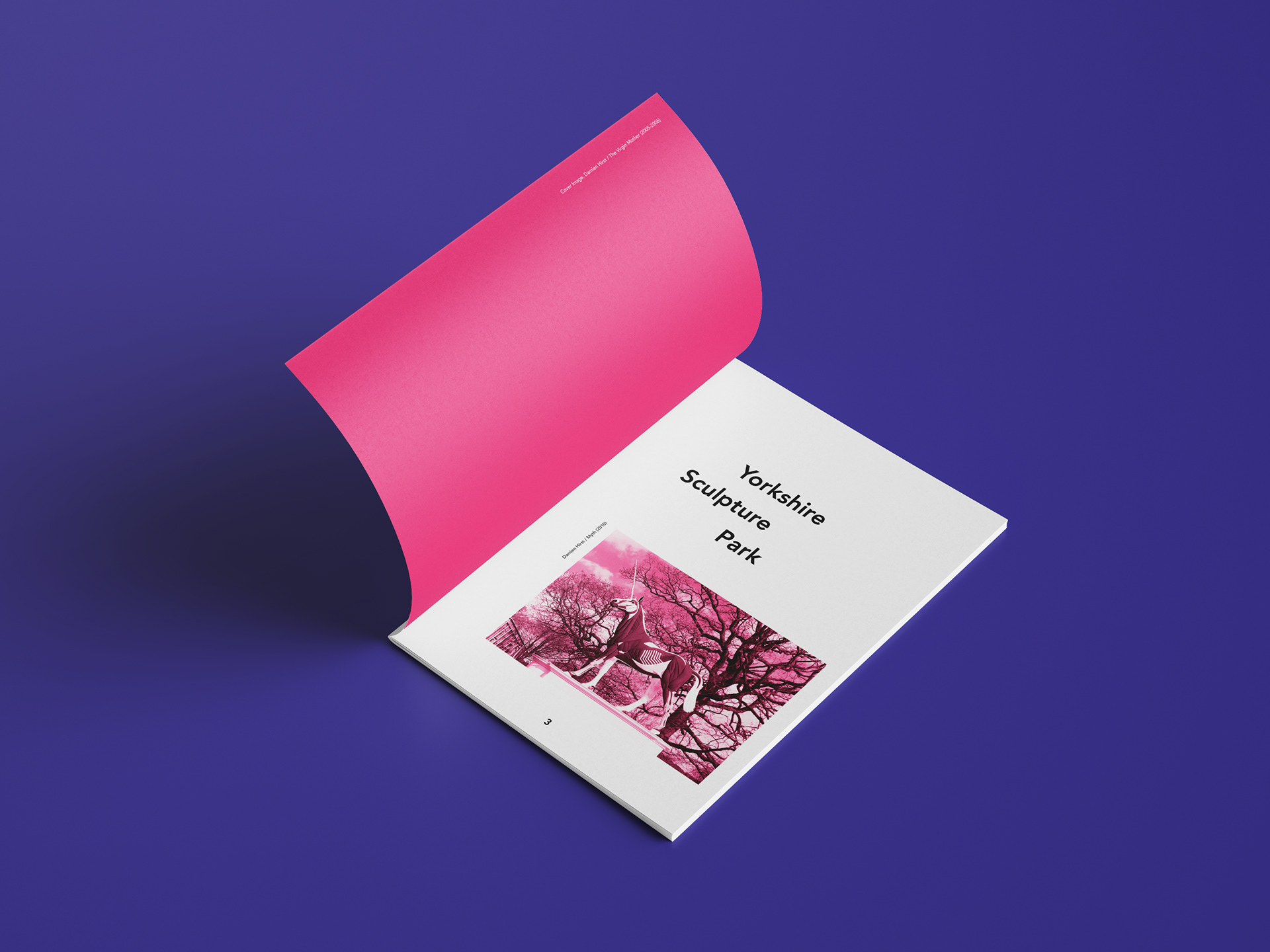 Inner Cover