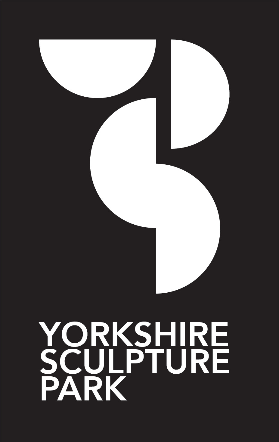 YSP Logo - White
