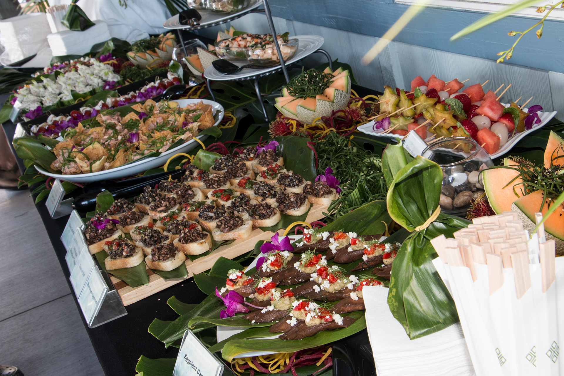 Ke Kai Ola fundraiser, Kona HI.