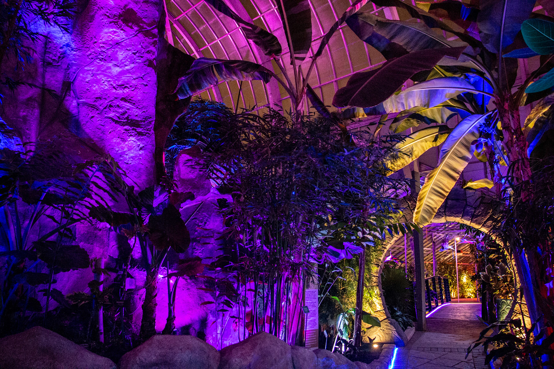 Botanical Gardens Night Lights, Buffalo NY.