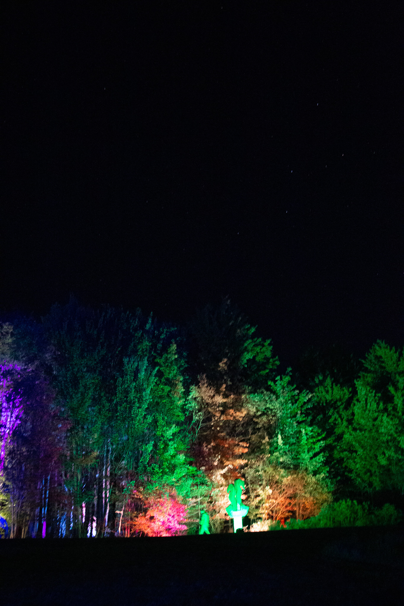Night Lights at Griffis Sculpture Park, East Otto NY.