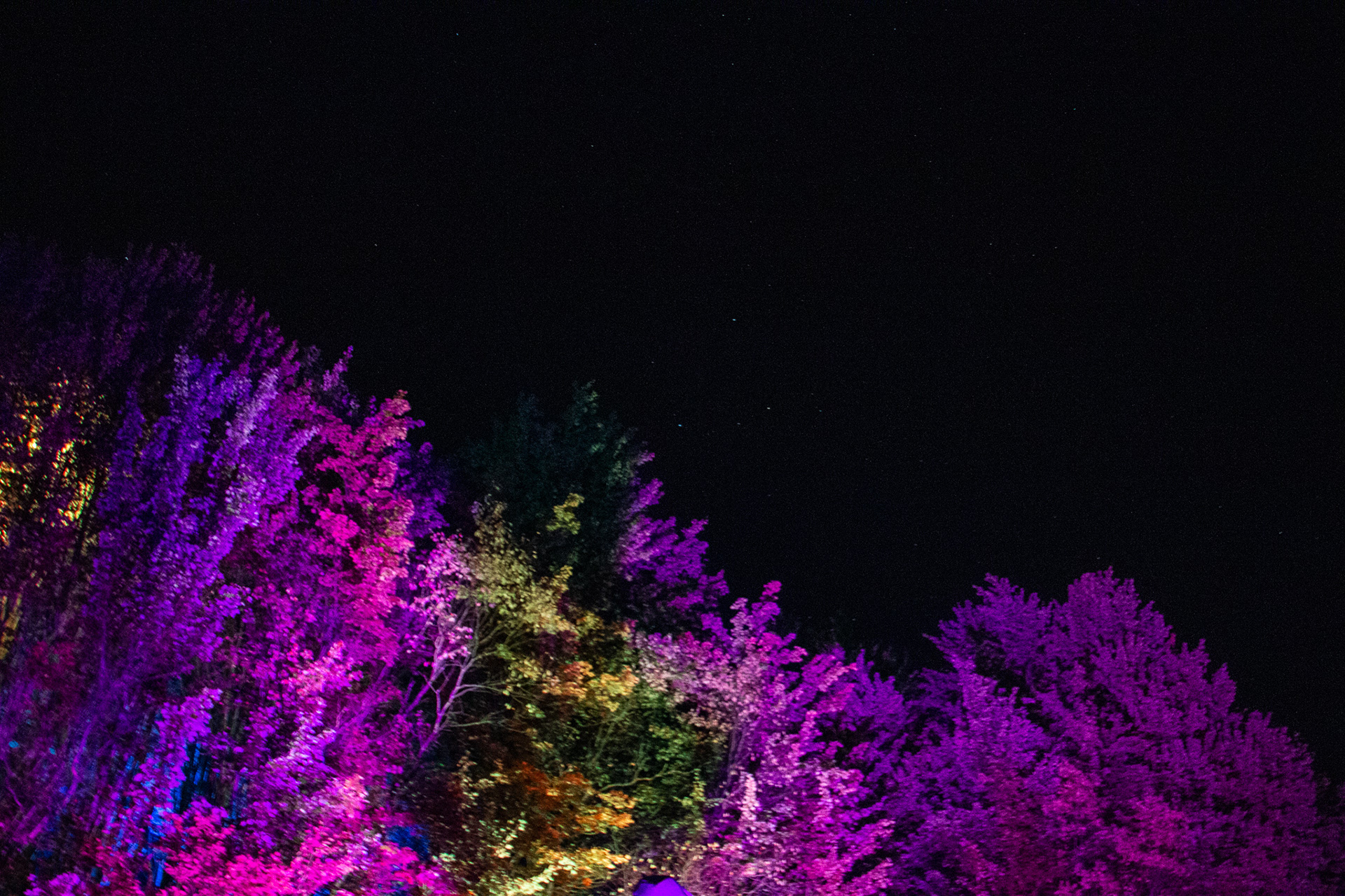 Night Lights at Griffis Sculpture Park, East Otto NY.