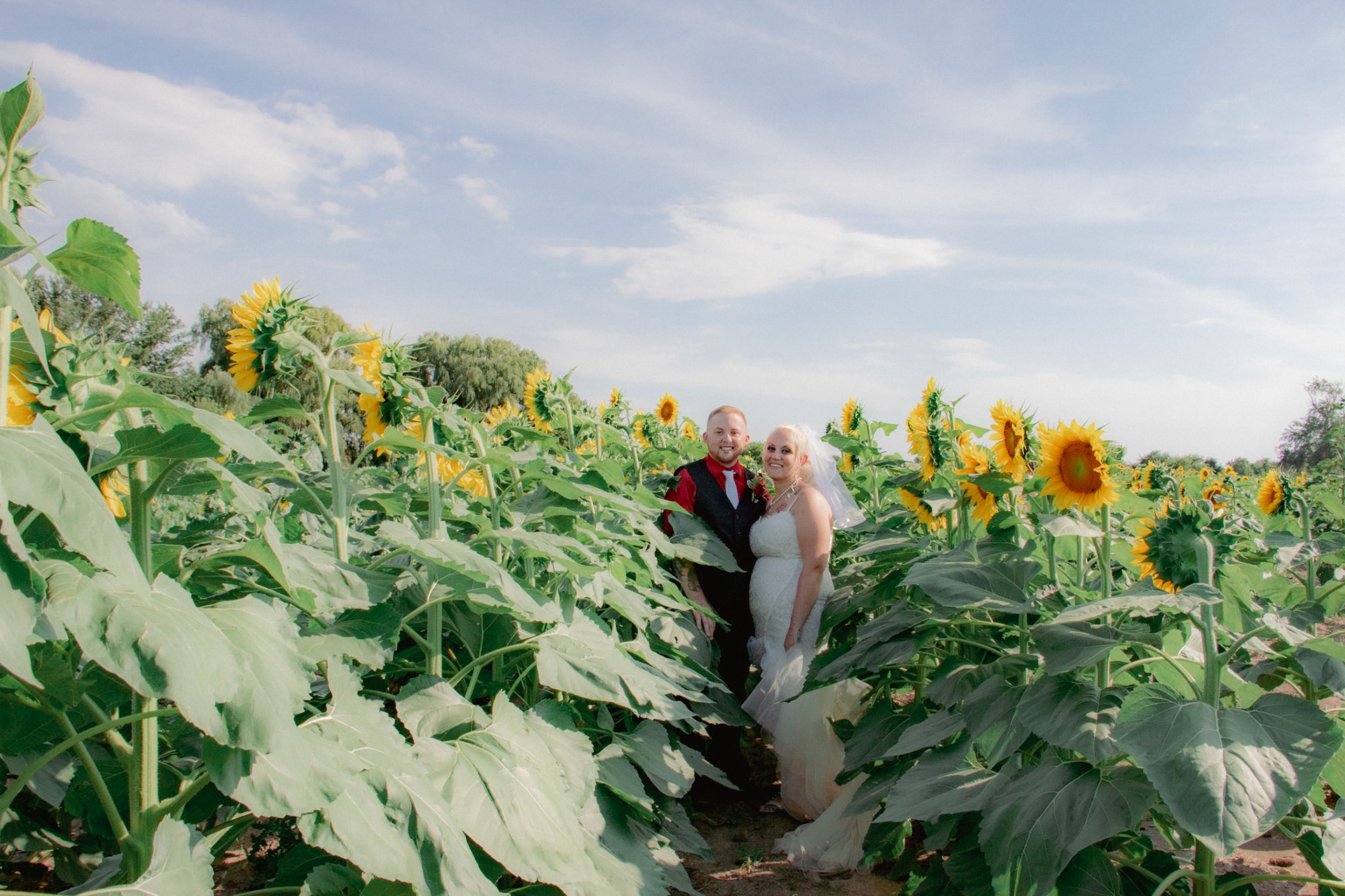 Wedding ceremony, Sunflowers of Sanborn, NY.