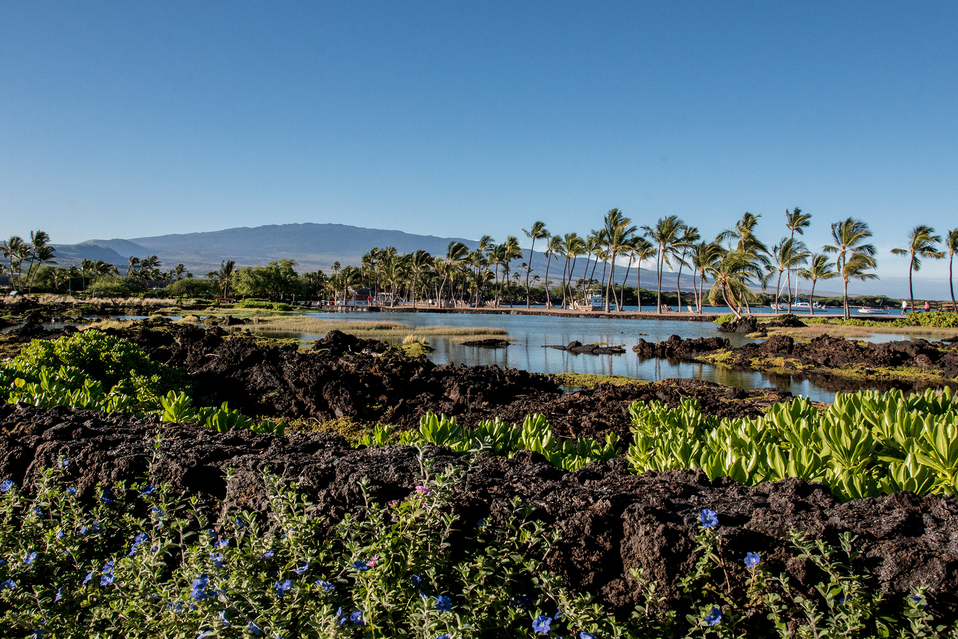 Luxury real estate, timeshare, rental, for sale in Waikoloa HI.