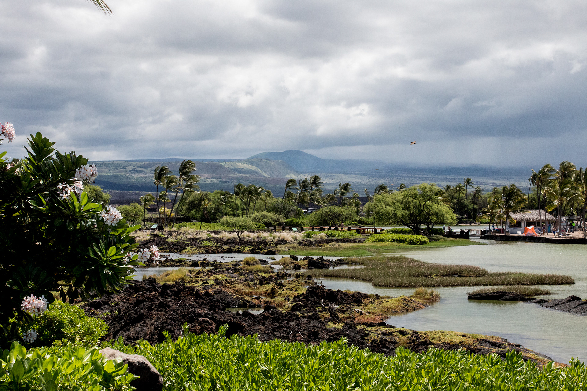 Luxury real estate, timeshare, rental, for sale in Waikoloa HI.