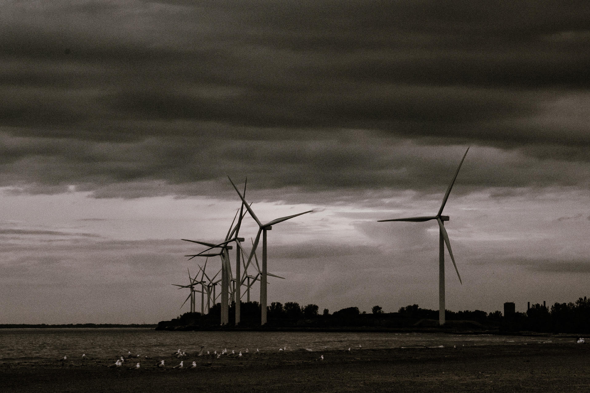 Windmills at dusk, Woodlawn beach, Hamburg NY.
