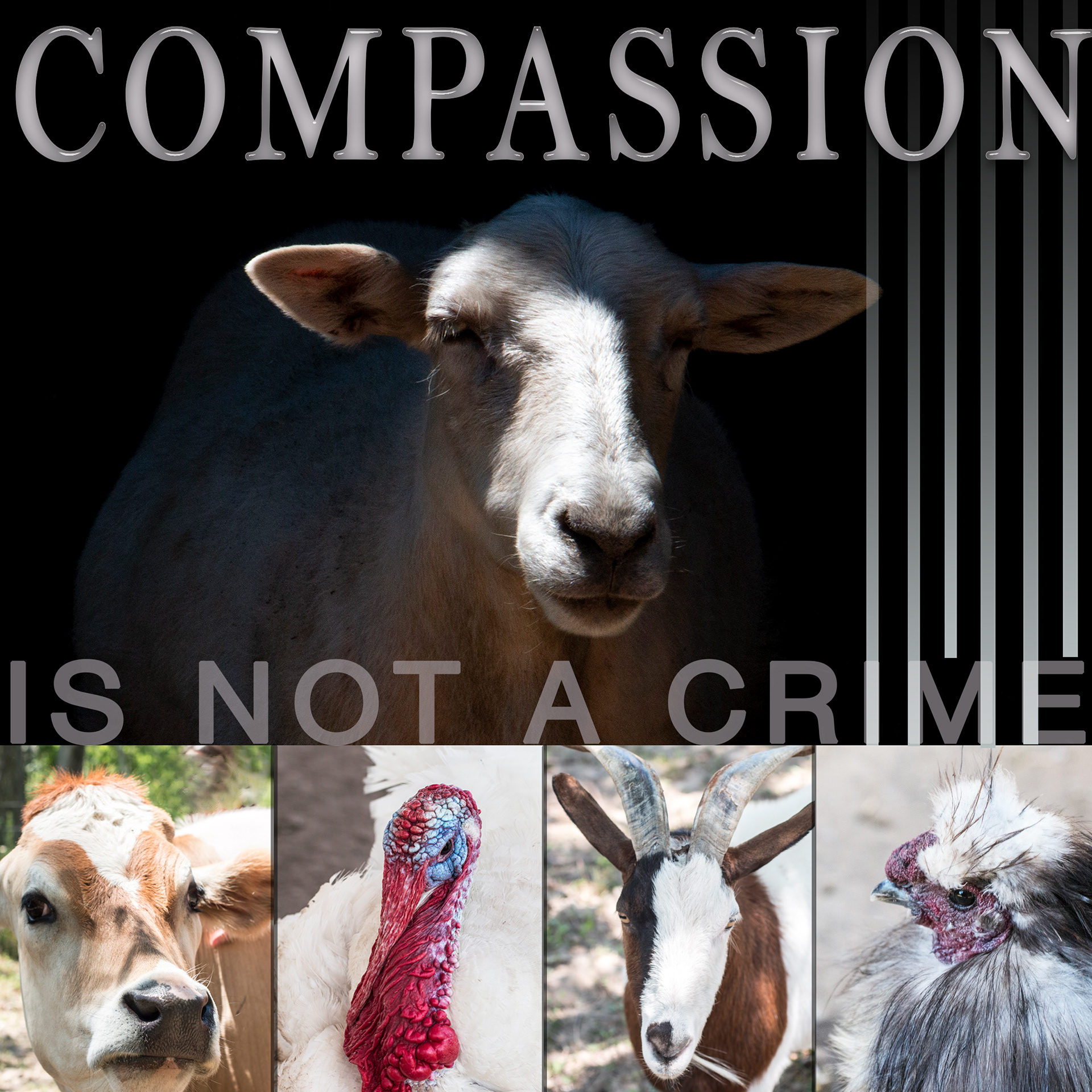 Social media declaration supporting Asha's Farm Sanctuary and the Right To Rescue.