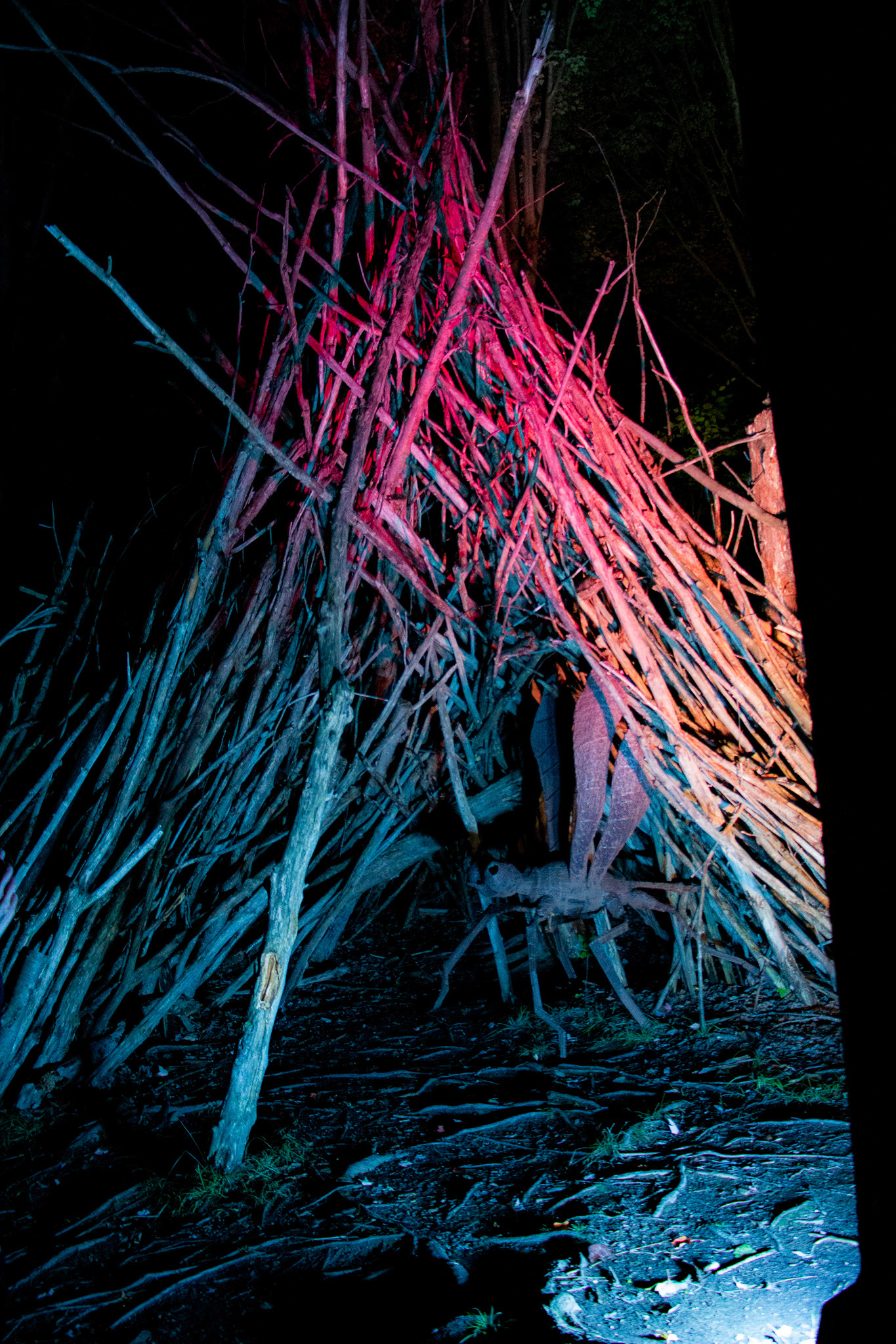 Night Lights at Griffis Sculpture Park, East Otto NY.