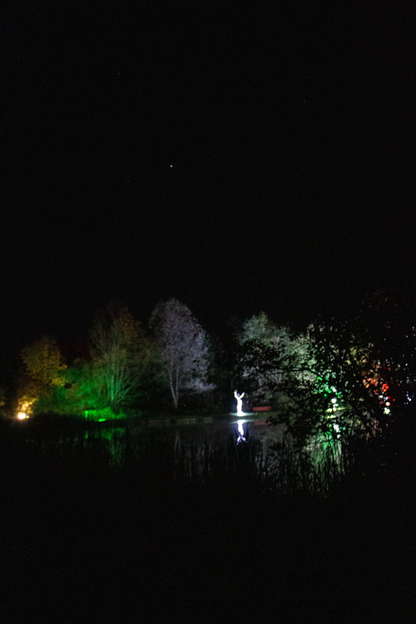 Night Lights at Griffis Sculpture Park, East Otto NY.