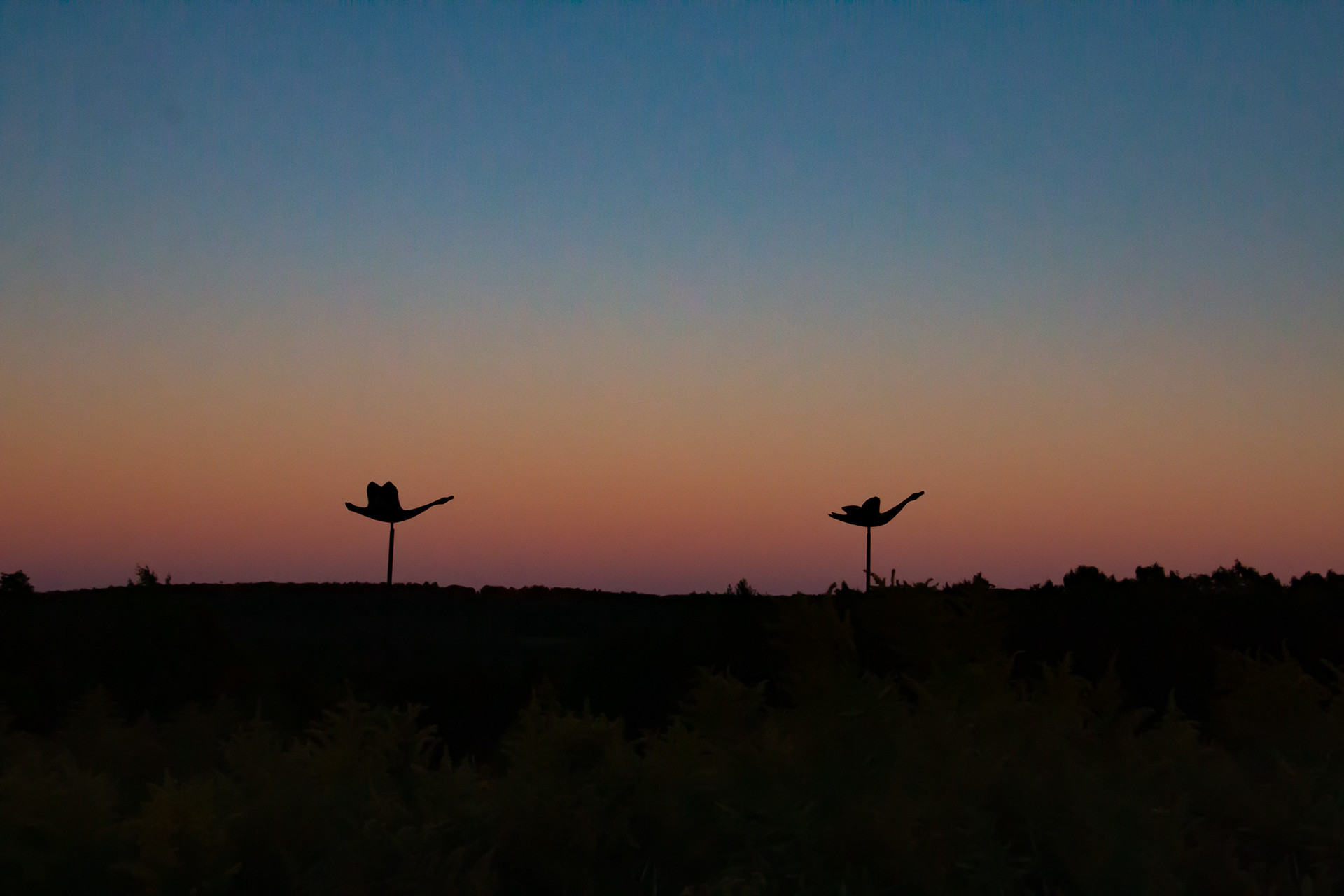 Sunset at Griffis Sculpture Park, East Otto NY.