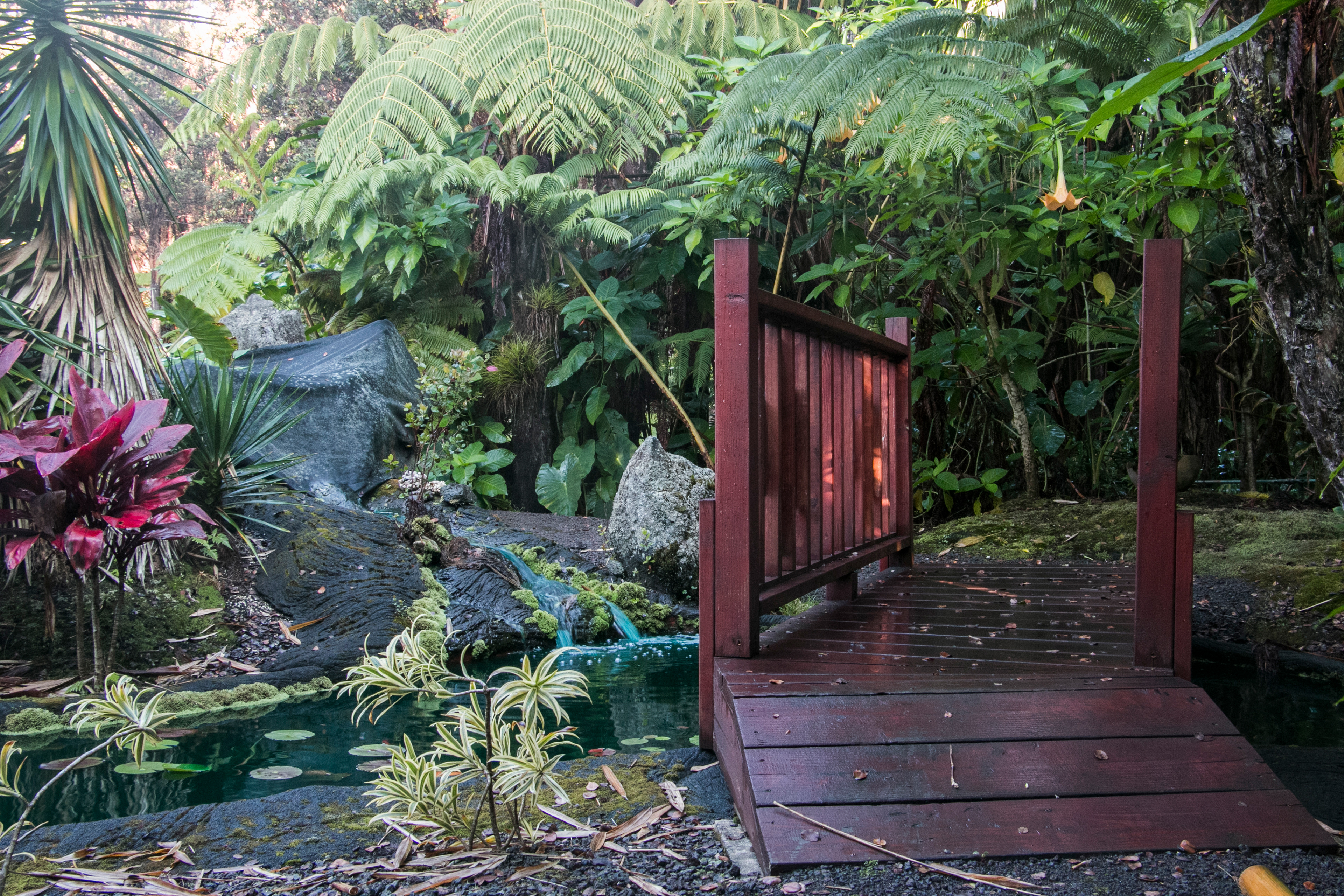 Gardens and grounds at Chalet Kilauea, Volcano HI.