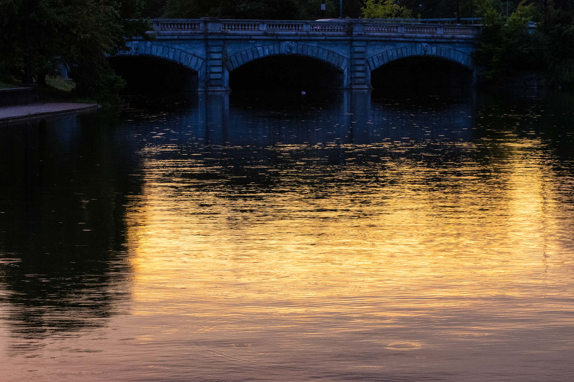 Sunset in Delaware Park, Buffalo NY.