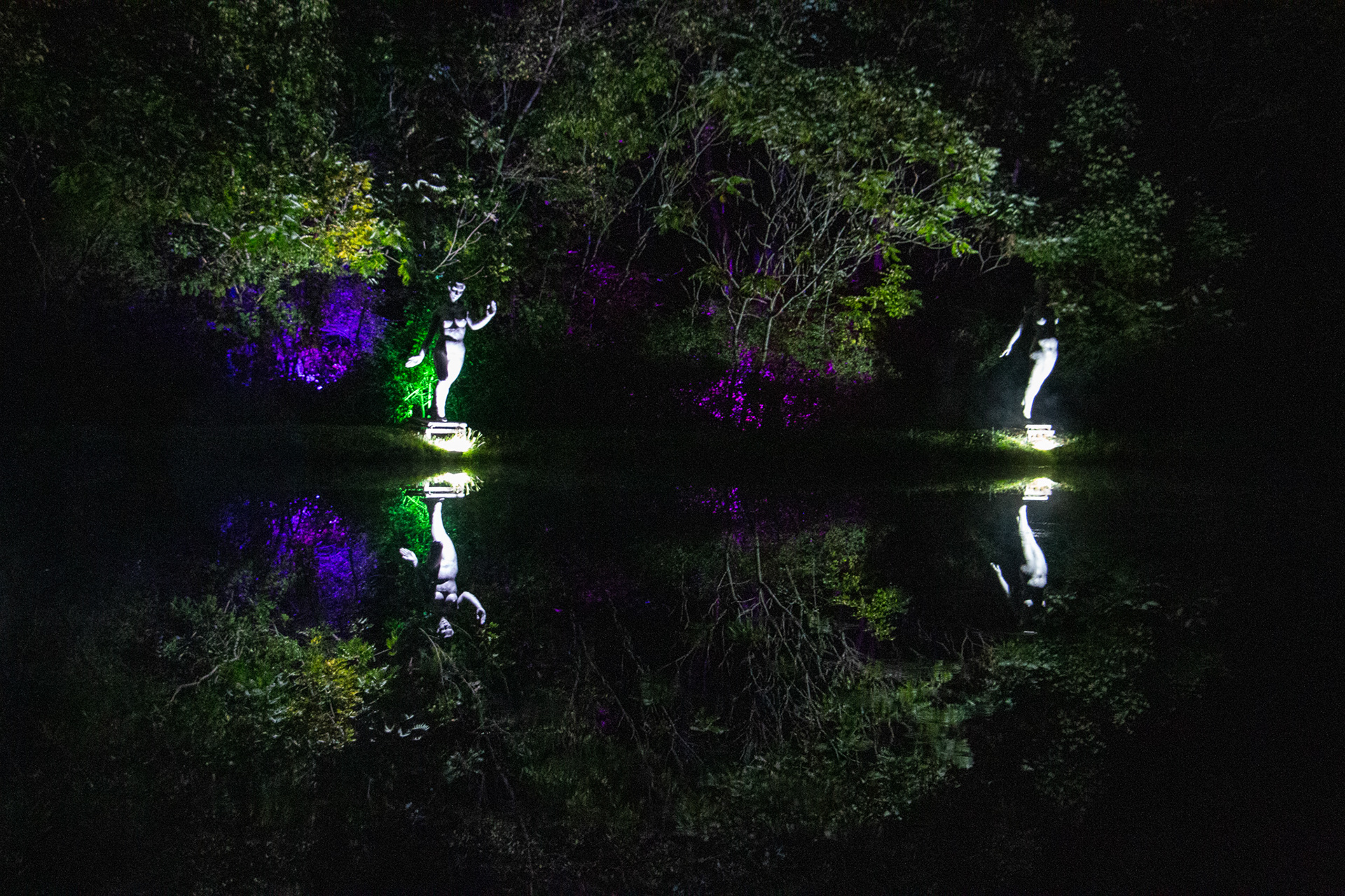 Night Lights at Griffis Sculpture Park, East Otto NY.