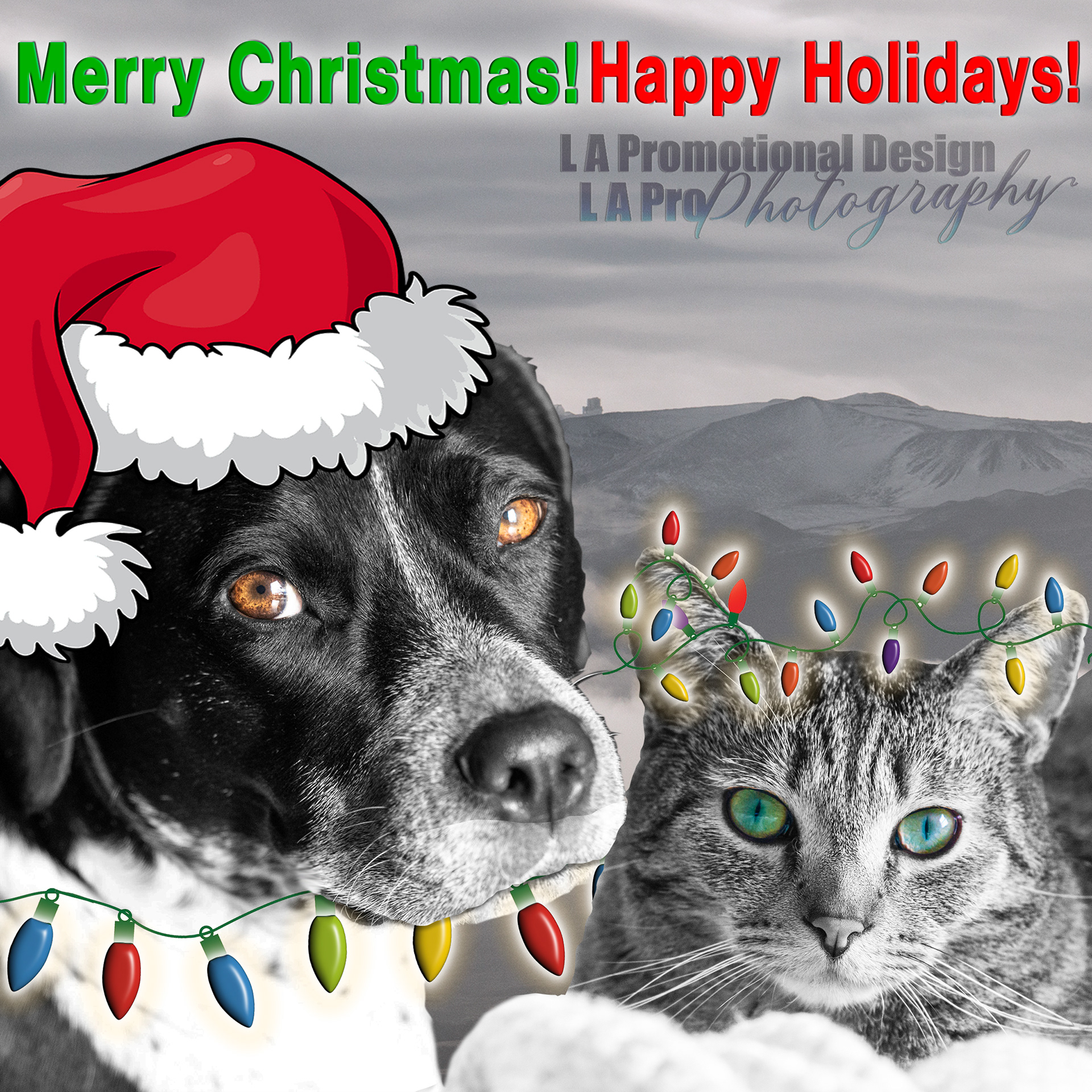 8x8 Christmas Greeting featuring my rescue cat and dog, 2022.