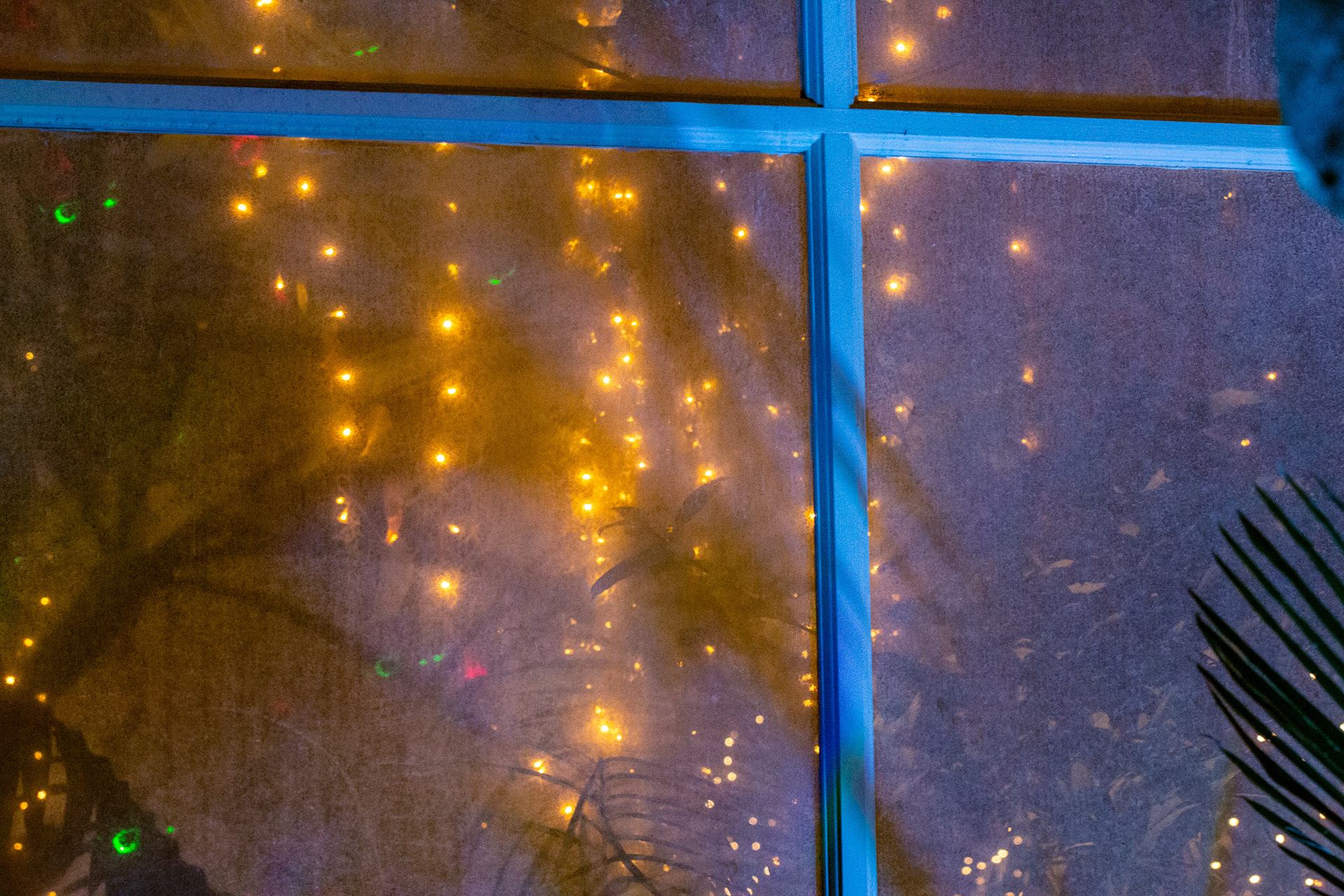 Botanical Gardens Night Lights, Buffalo NY.