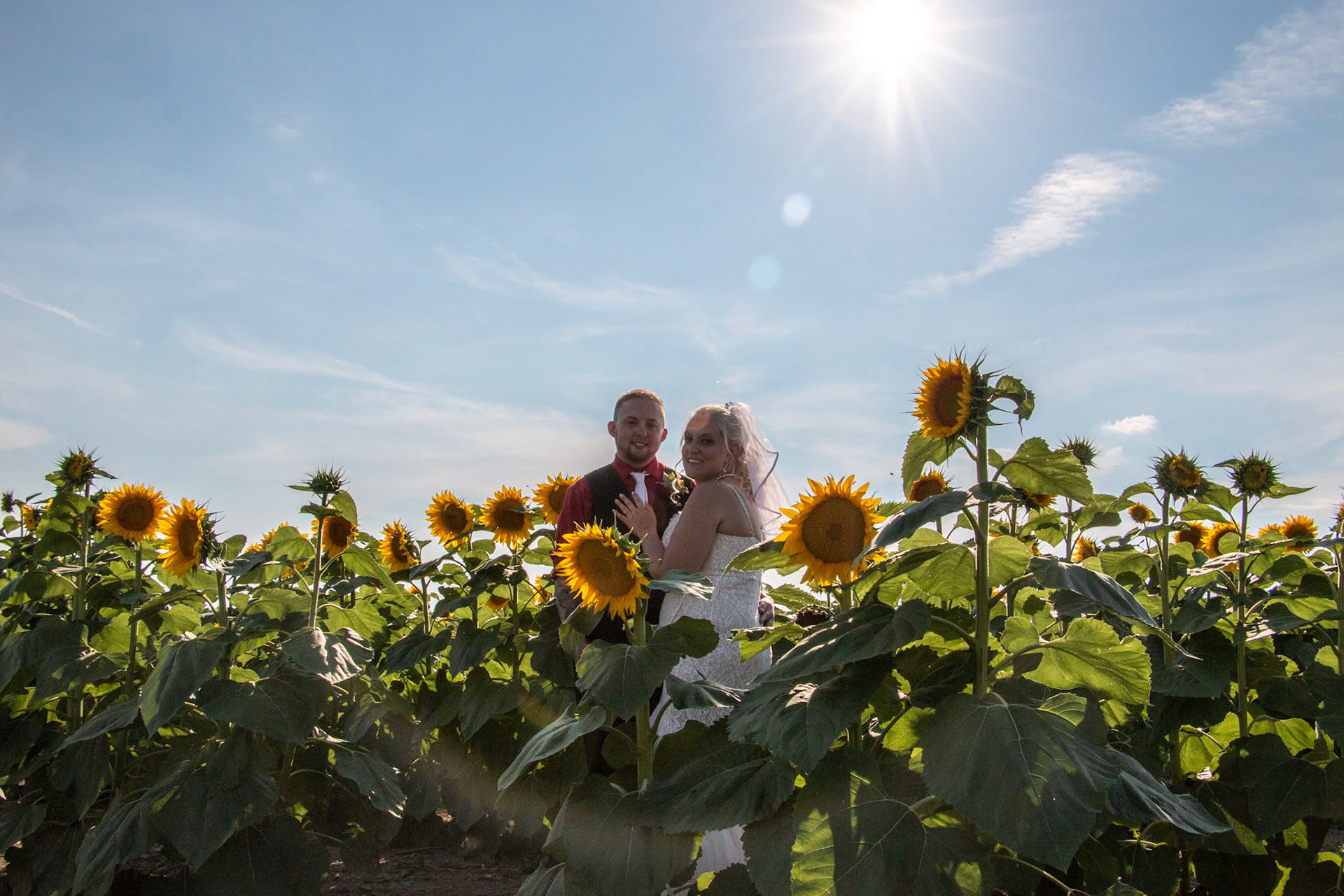 Wedding, Sunflowers of Sanborn, NY.