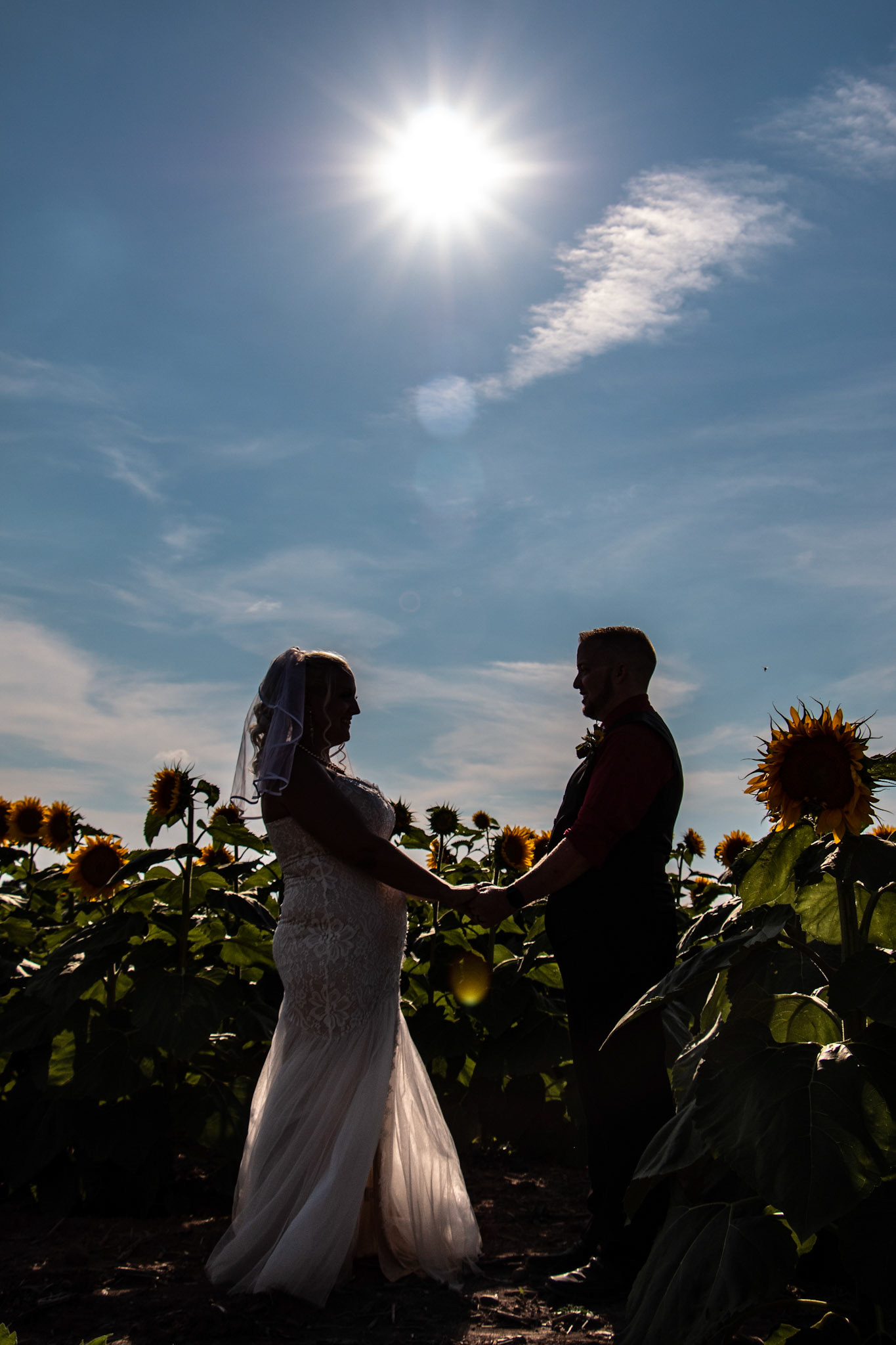 Wedding, Sunflowers of Sanborn, NY, couple.