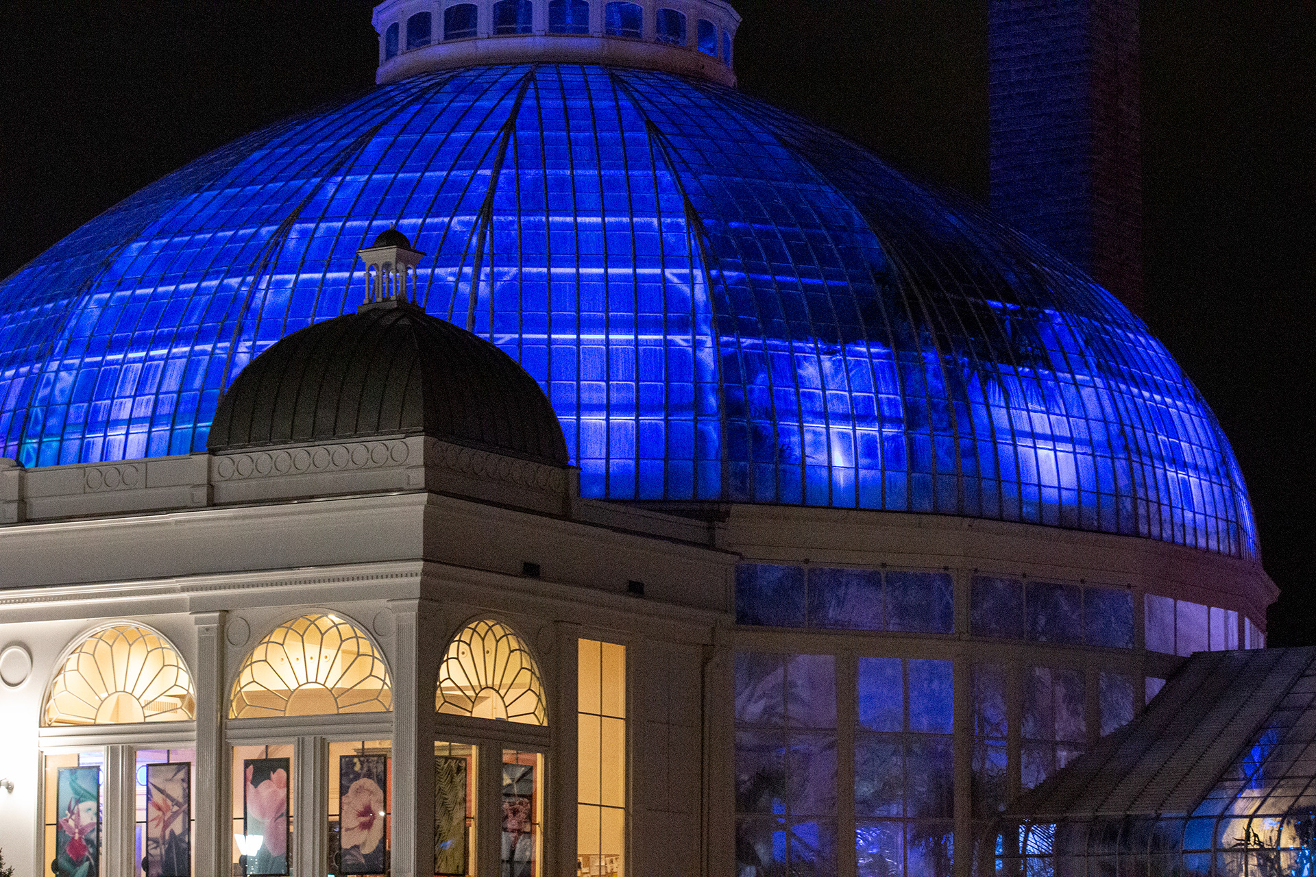 Botanical Gardens Night Lights, Buffalo NY.
