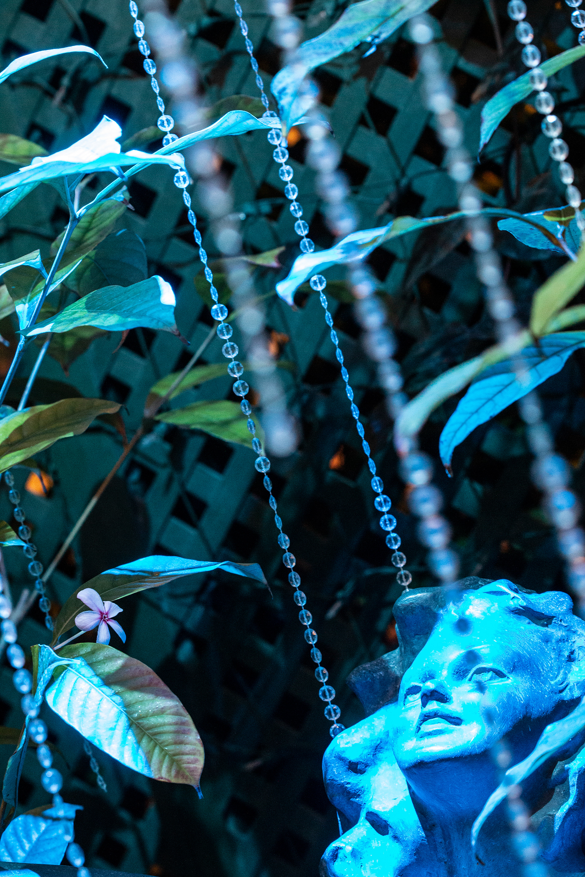 Botanical Gardens Night Lights, Buffalo NY.