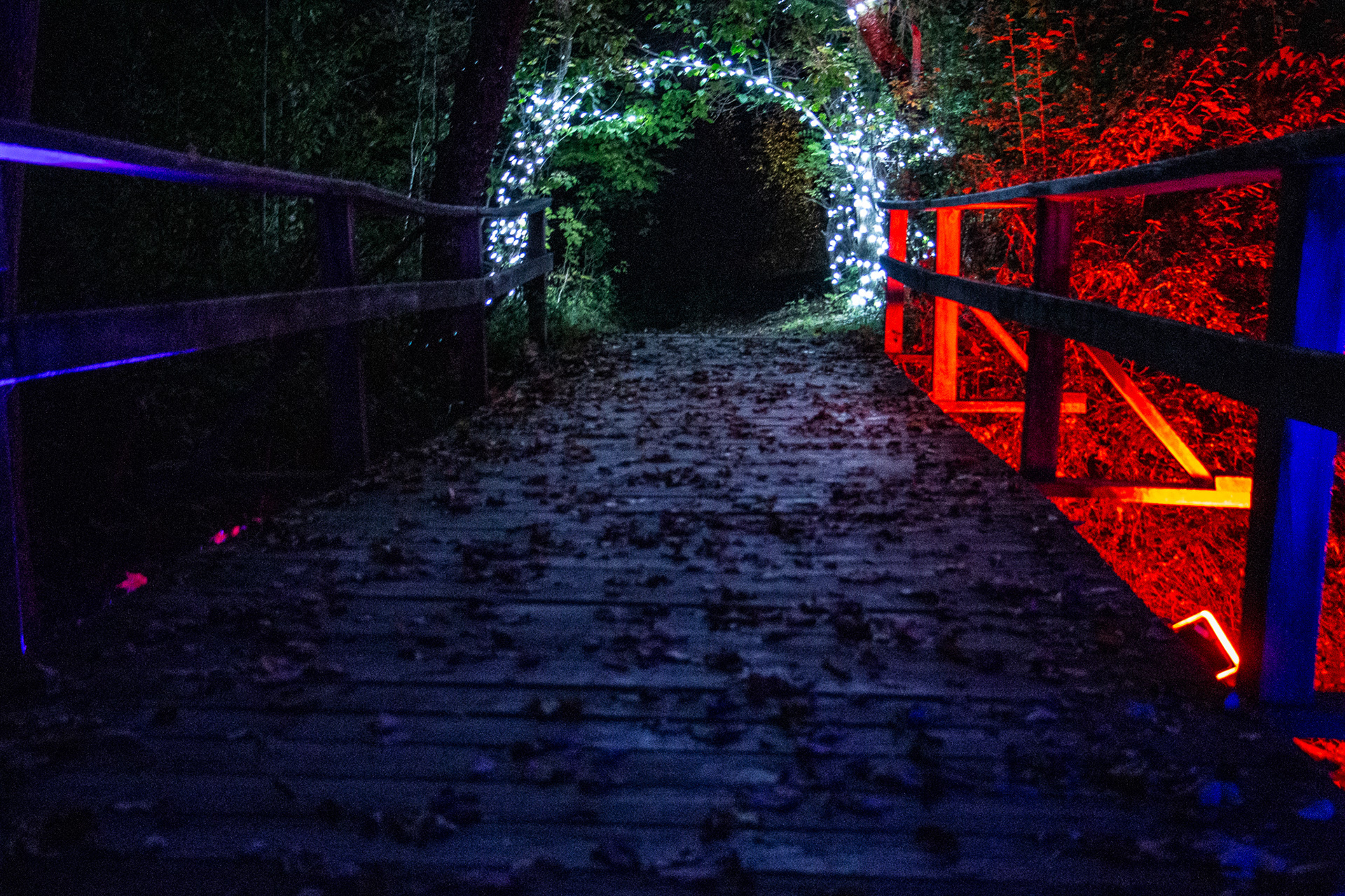 The bridge, Night Lights at Griffis Sculpture Park, East Otto NY.