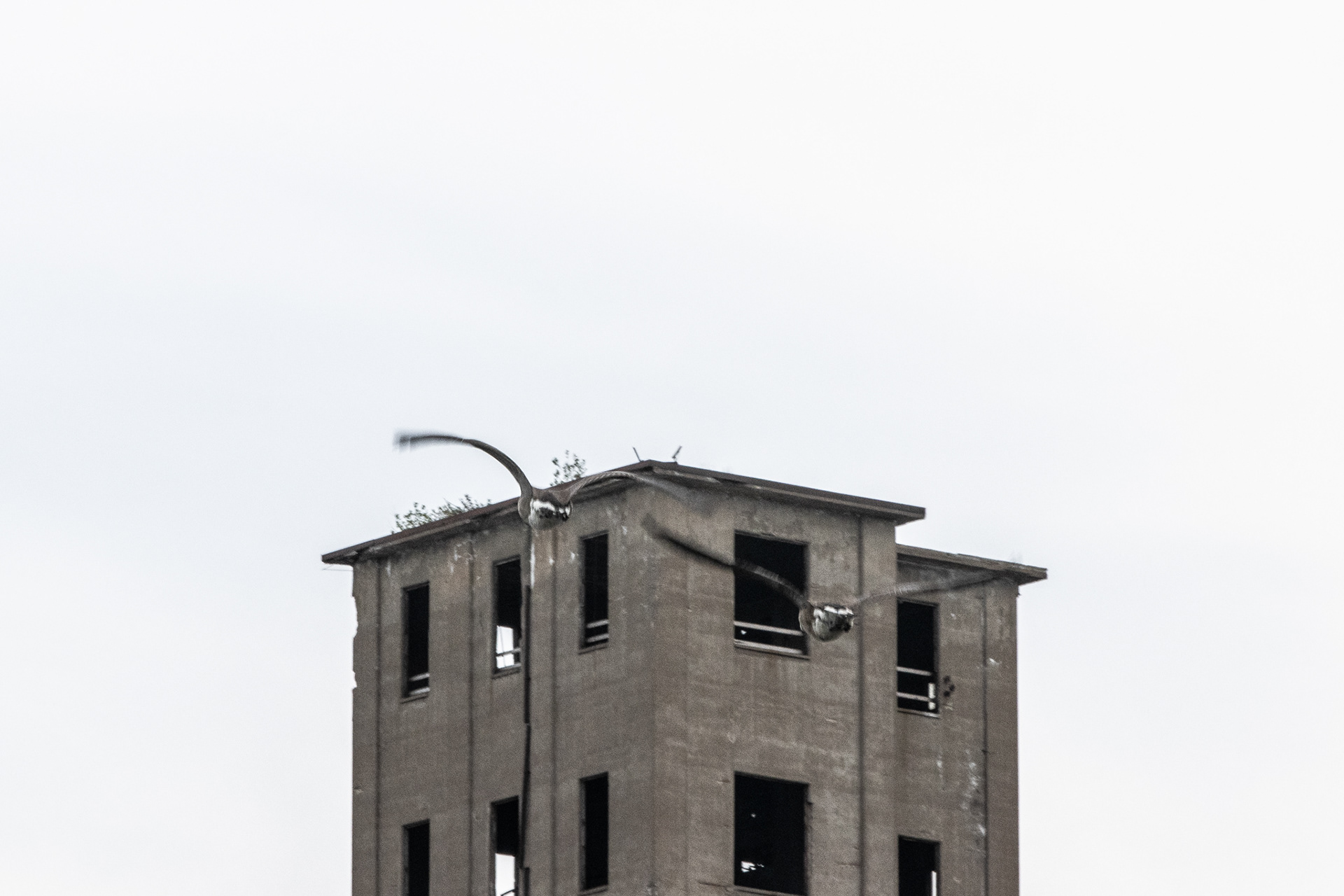 Industrial photos at Riverfest Park, Buffalo NY