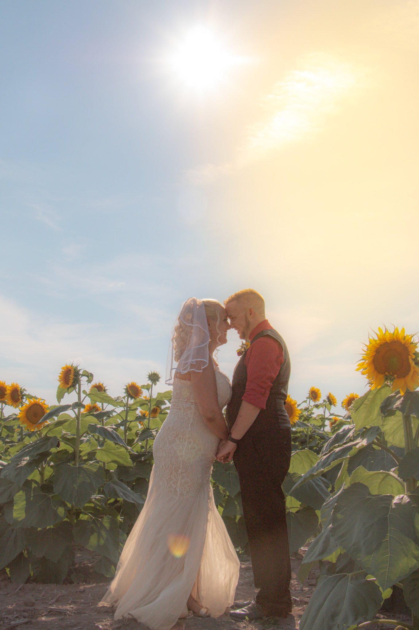 Wedding, Sunflowers of Sanborn, NY, couple.