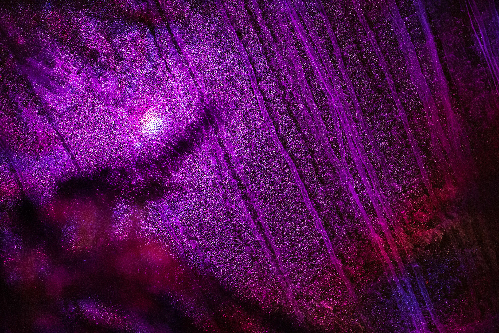 Botanical Gardens Night Lights, Buffalo NY.
