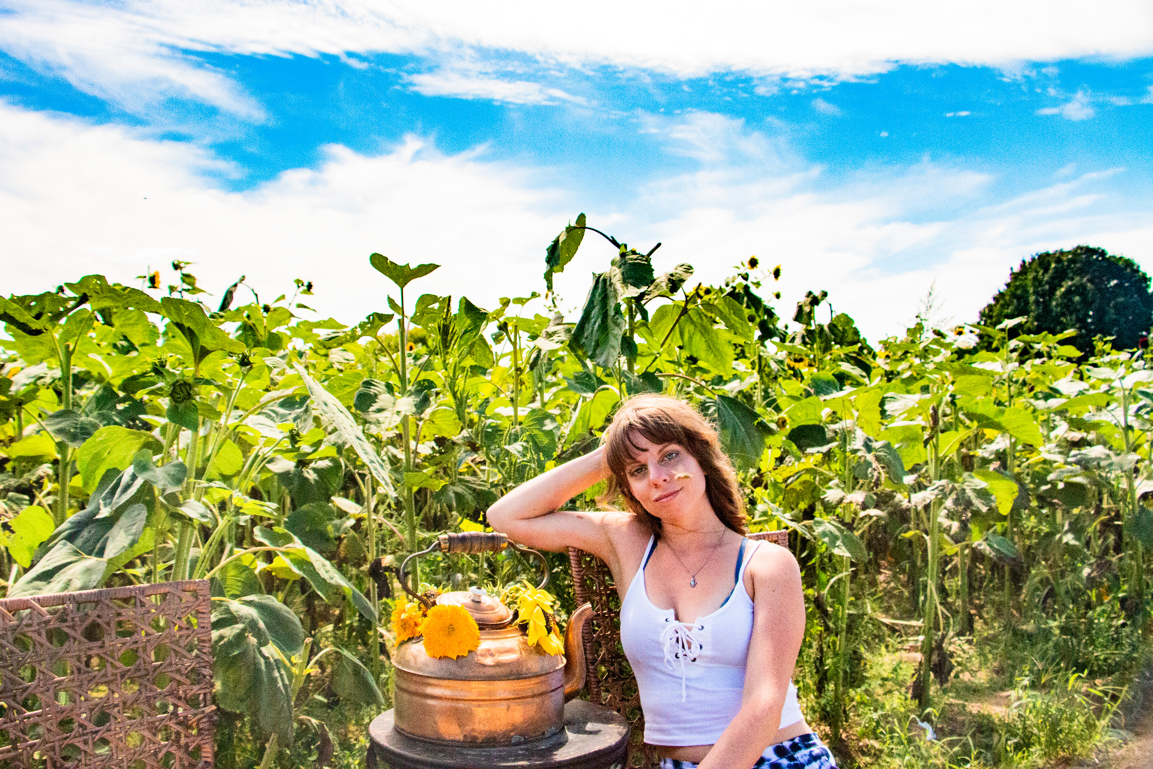 Modeling session, Wickham Sunflower Farm, Penfield NY.