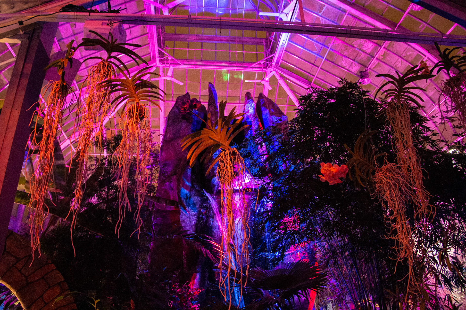 Botanical Gardens Night Lights, Buffalo NY.