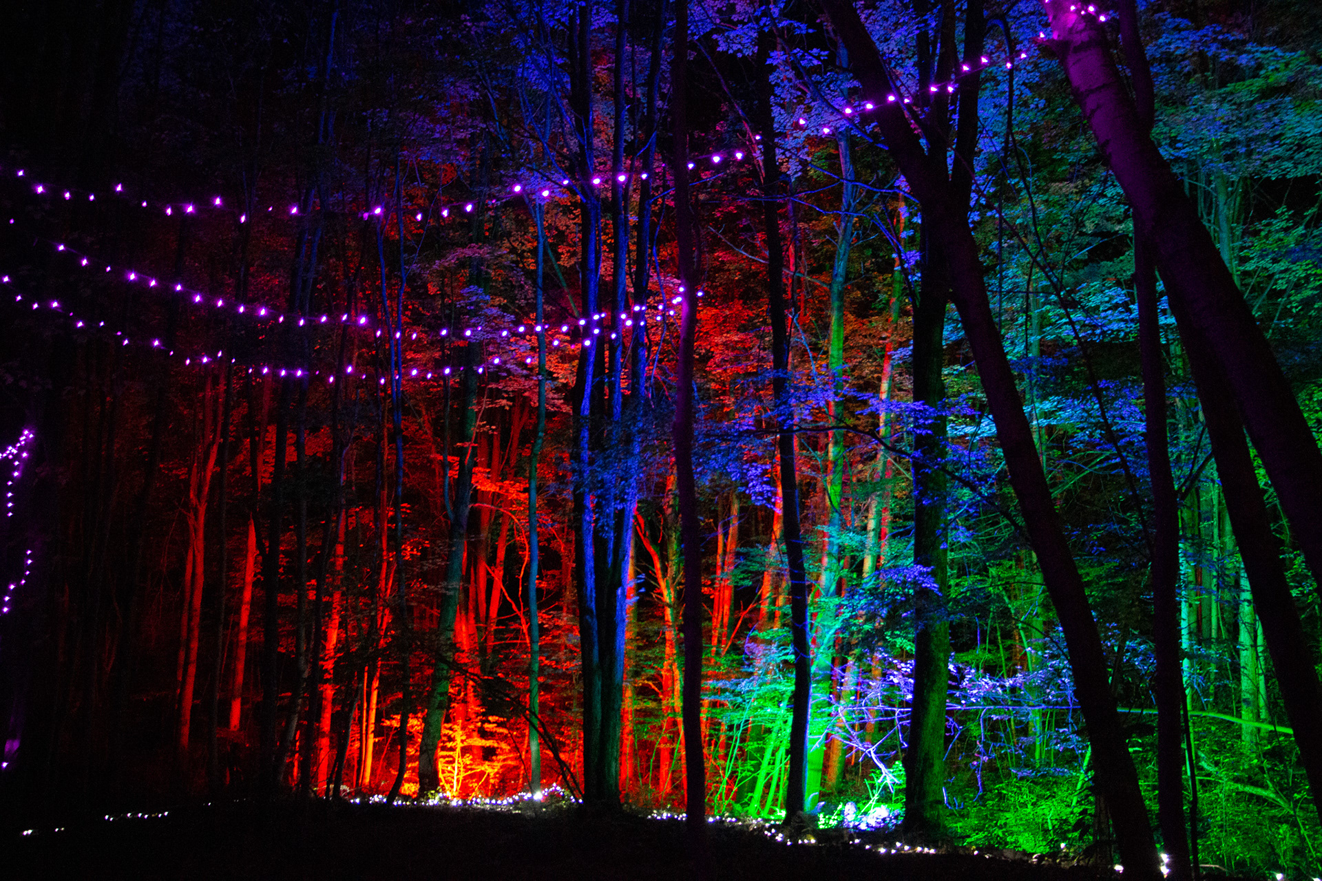 Night Lights at Griffis Sculpture Park, East Otto NY.