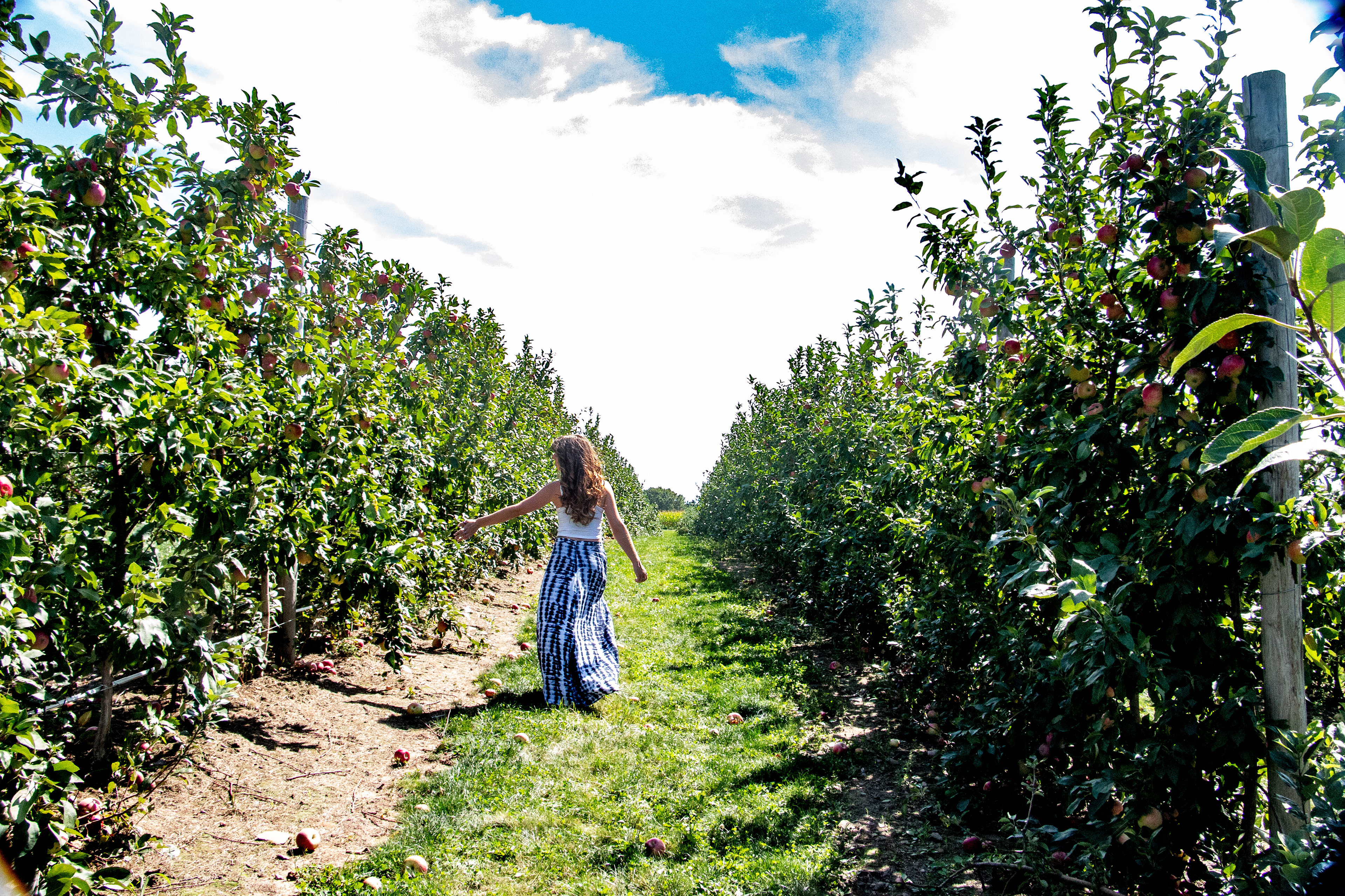Modeling session, Wickham Sunflower Farm, Penfield NY.
