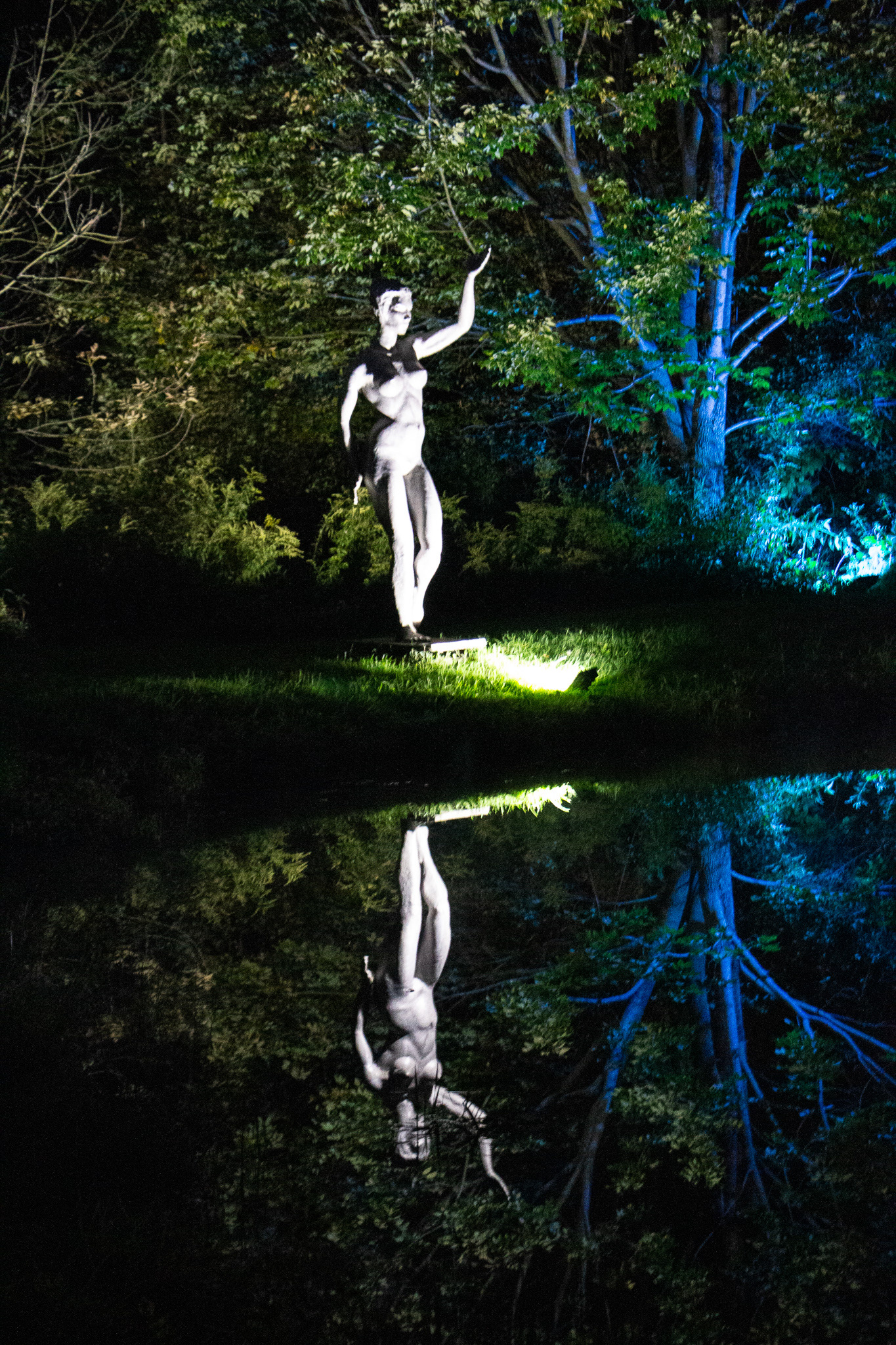 Night Lights at Griffis Sculpture Park, East Otto NY.