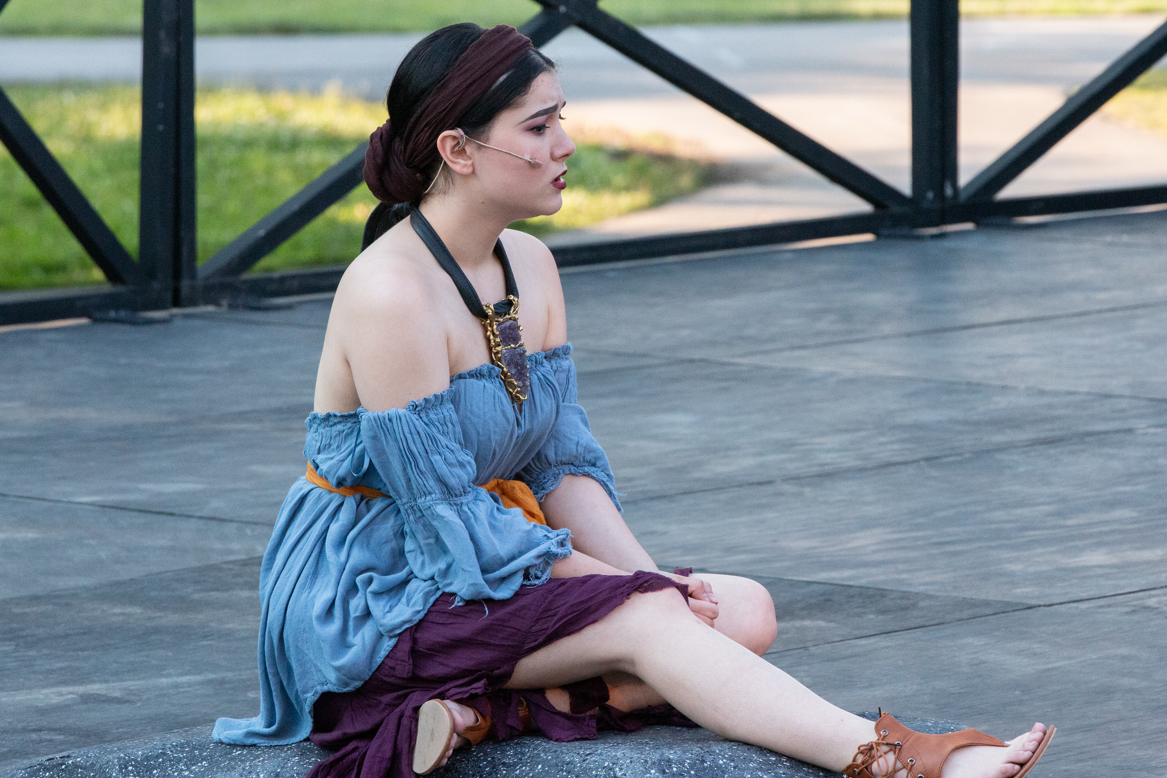 Shakespeare in Delaware Park, Buffalo NY.