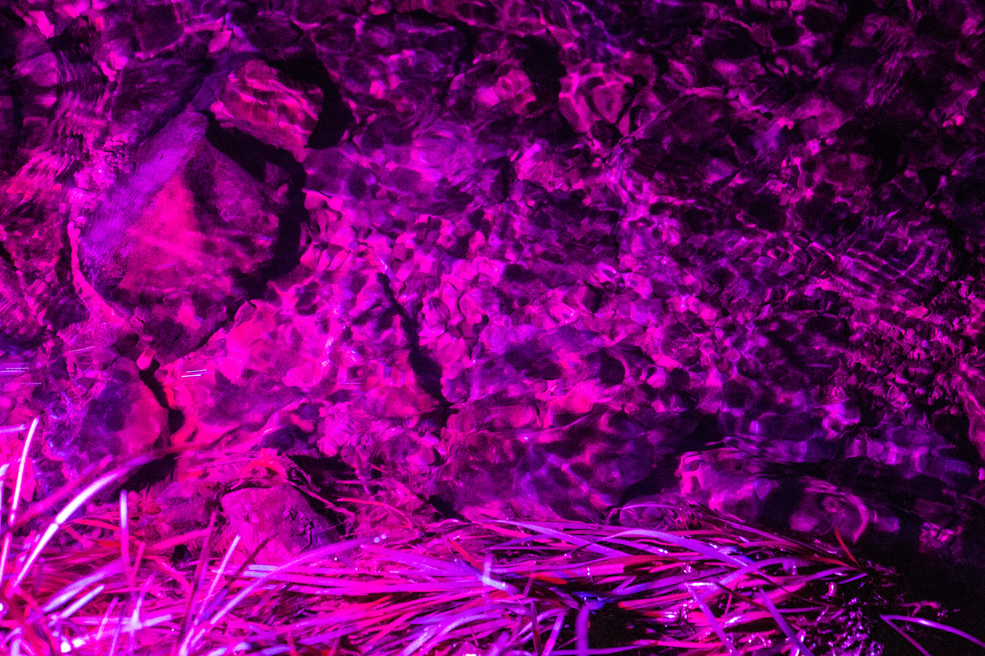 The creek, Night Lights at Griffis Sculpture Park, East Otto NY.