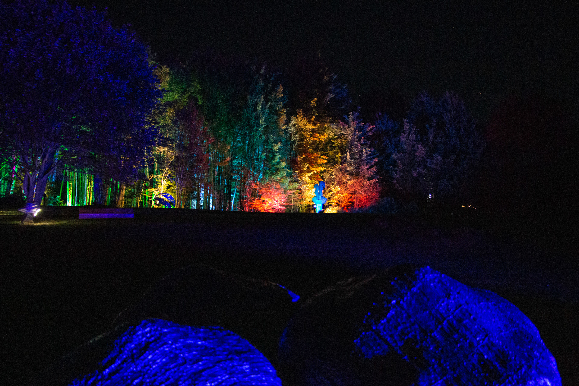 Night Lights at Griffis Sculpture Park, East Otto NY.