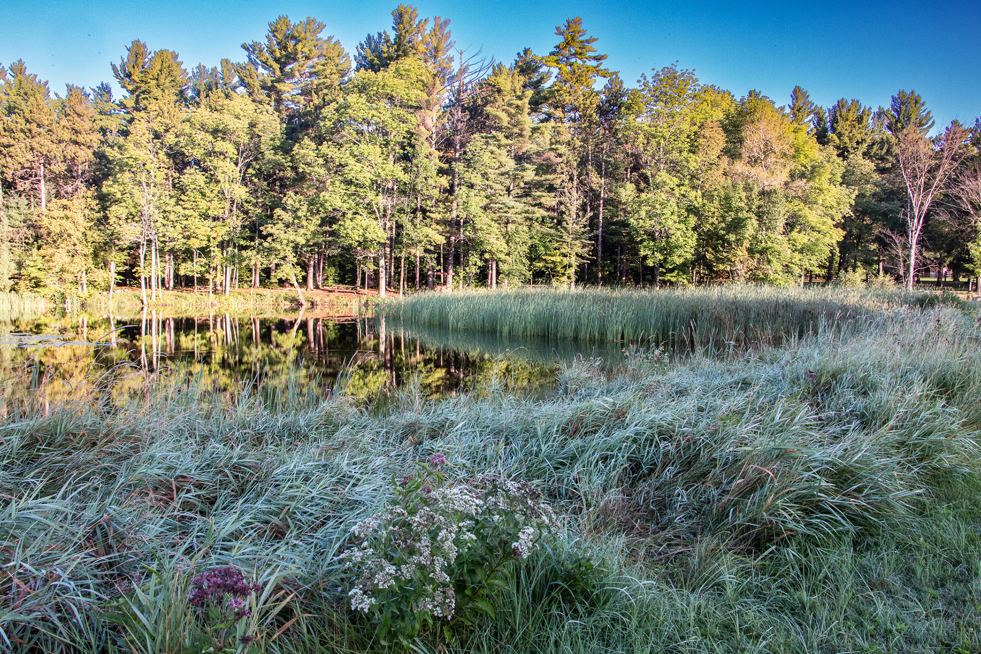 Adirondack Mountains NY.