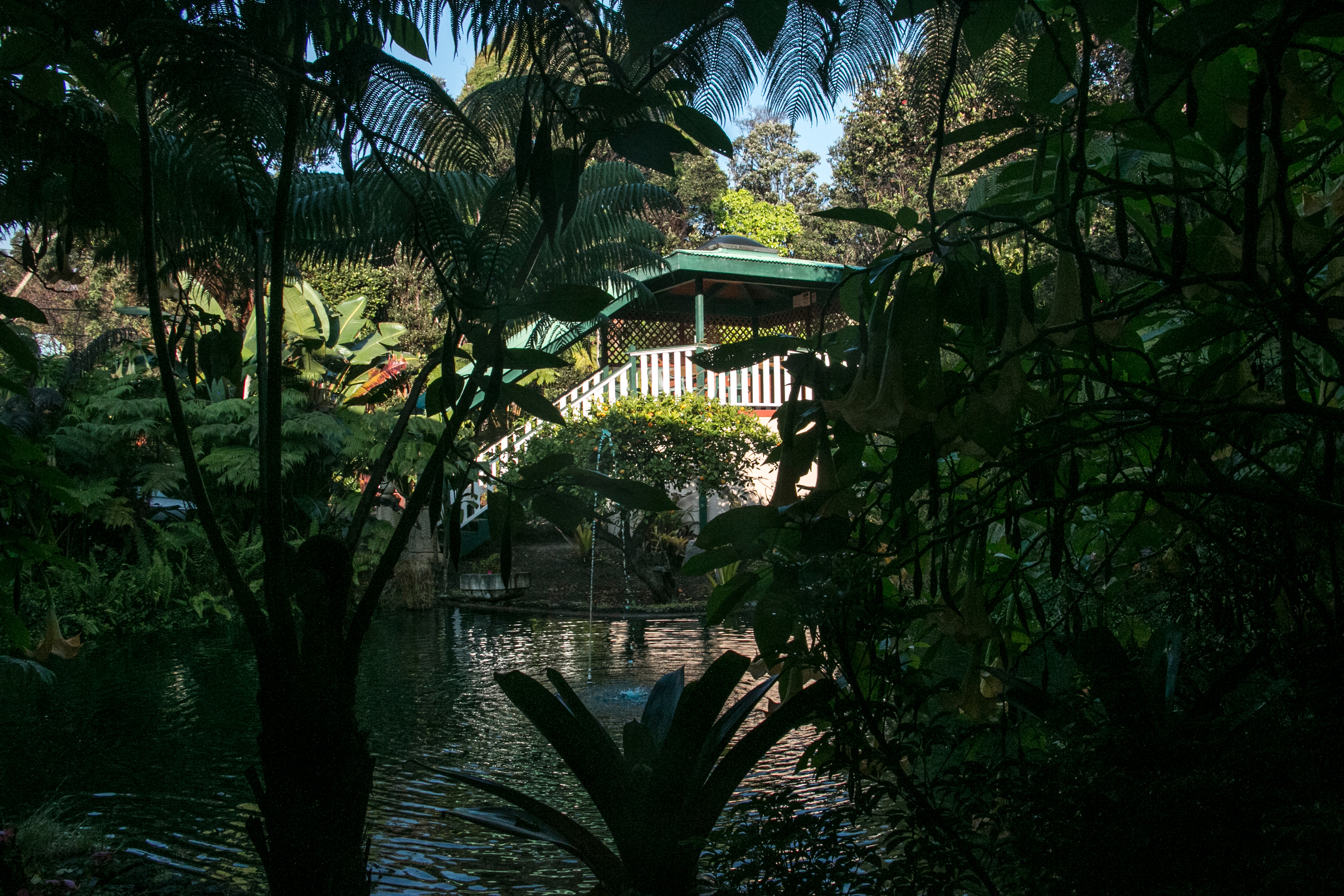 Gardens and grounds at Chalet Kilauea, Volcano HI.