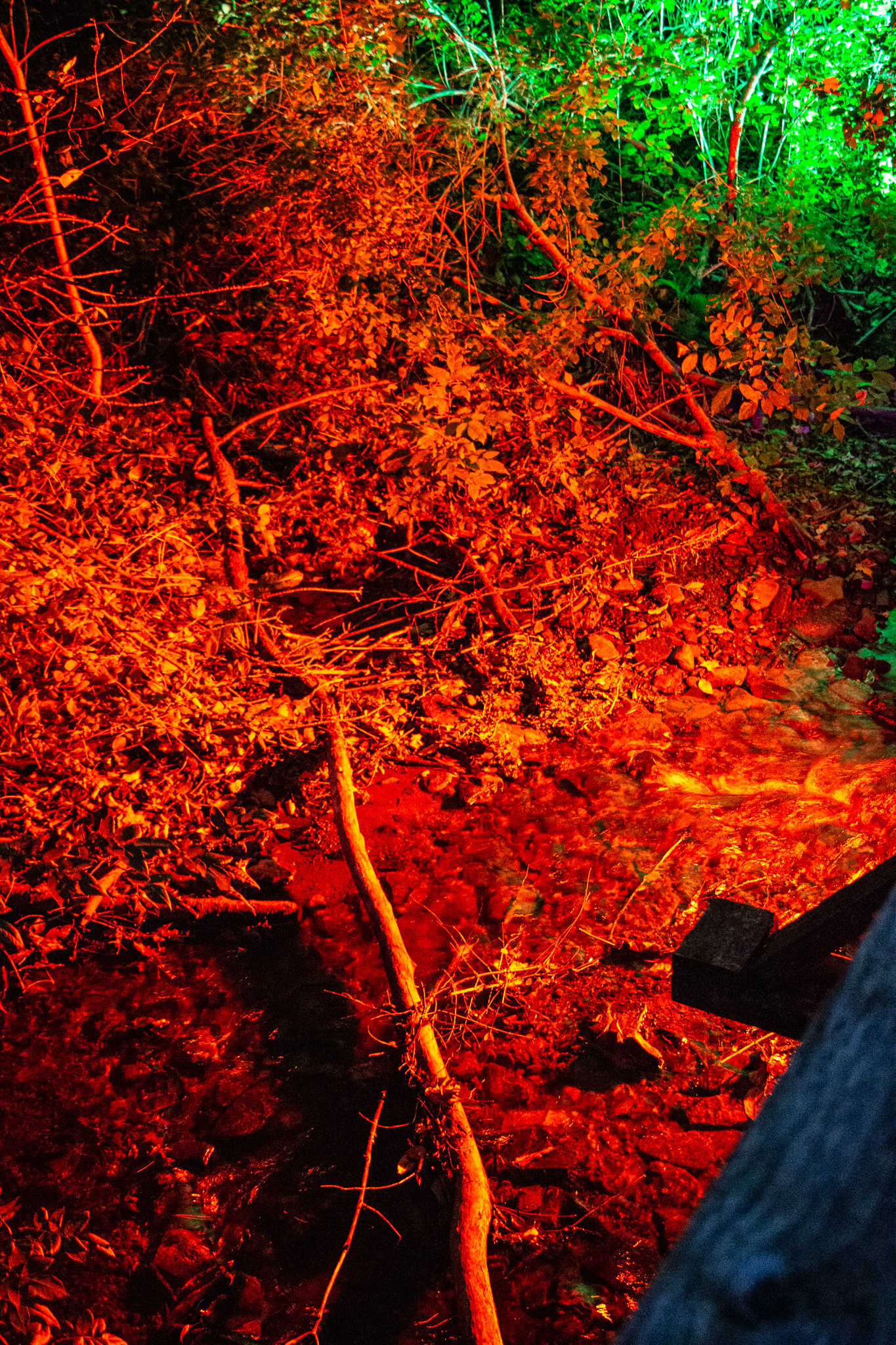 Night Lights at Griffis Sculpture Park, East Otto NY.